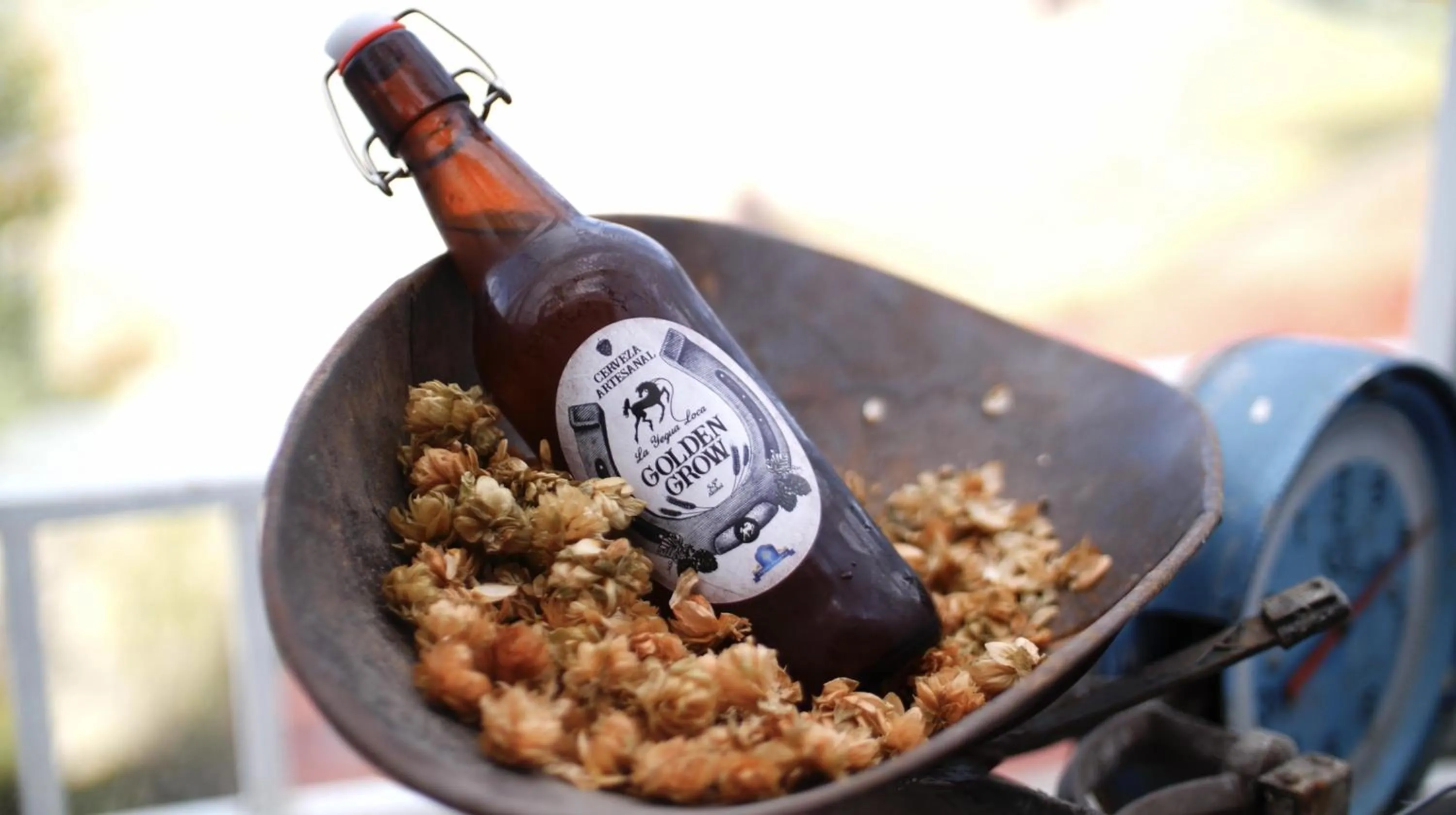 Restaurant/places to eat in Hotel Boutique La Yegua Loca