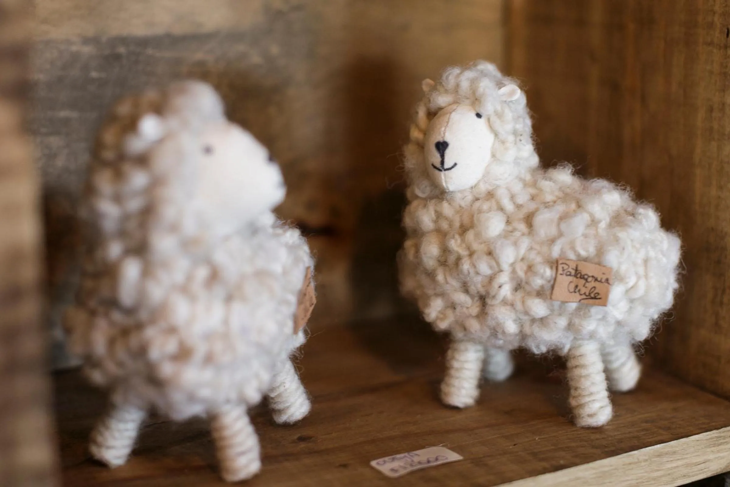 On-site shops in Hotel Boutique La Yegua Loca