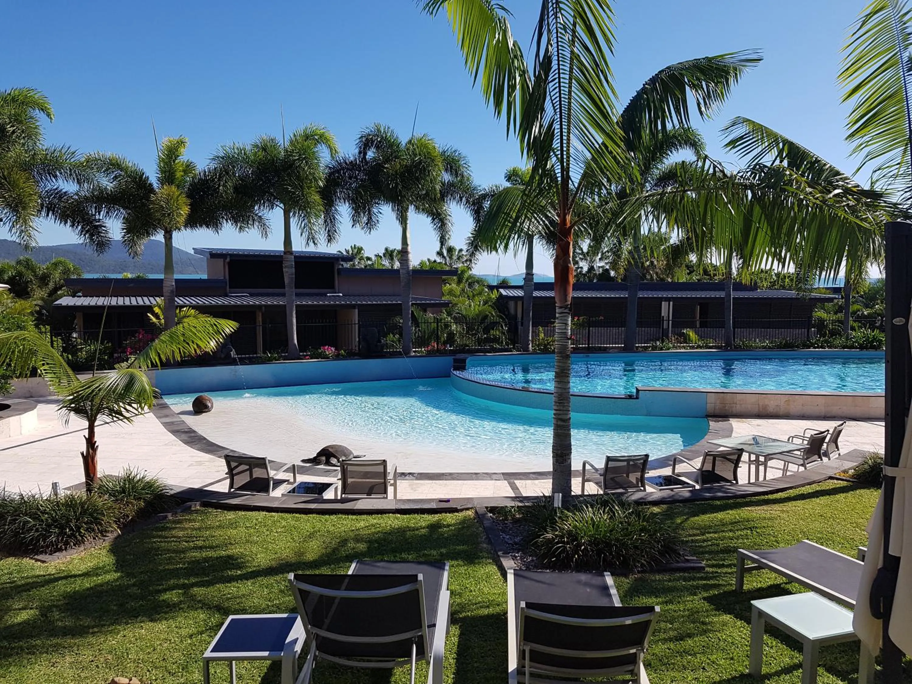 Pool view in Mirage Whitsundays