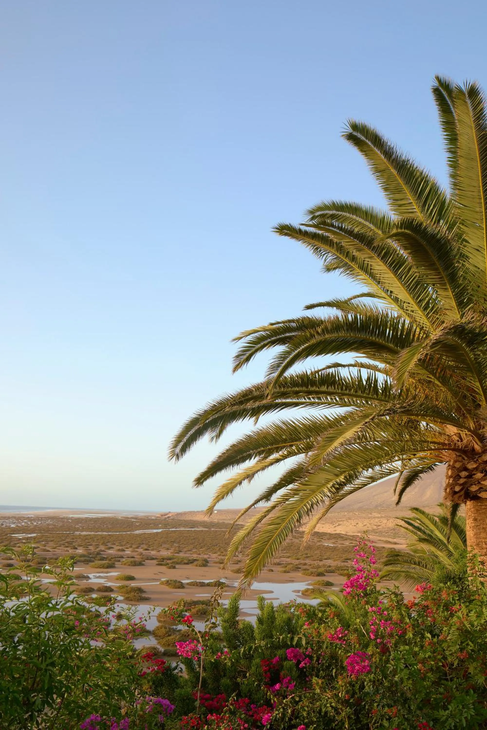 Natural landscape in Paradisus by Meliá Fuerteventura - All Inclusive