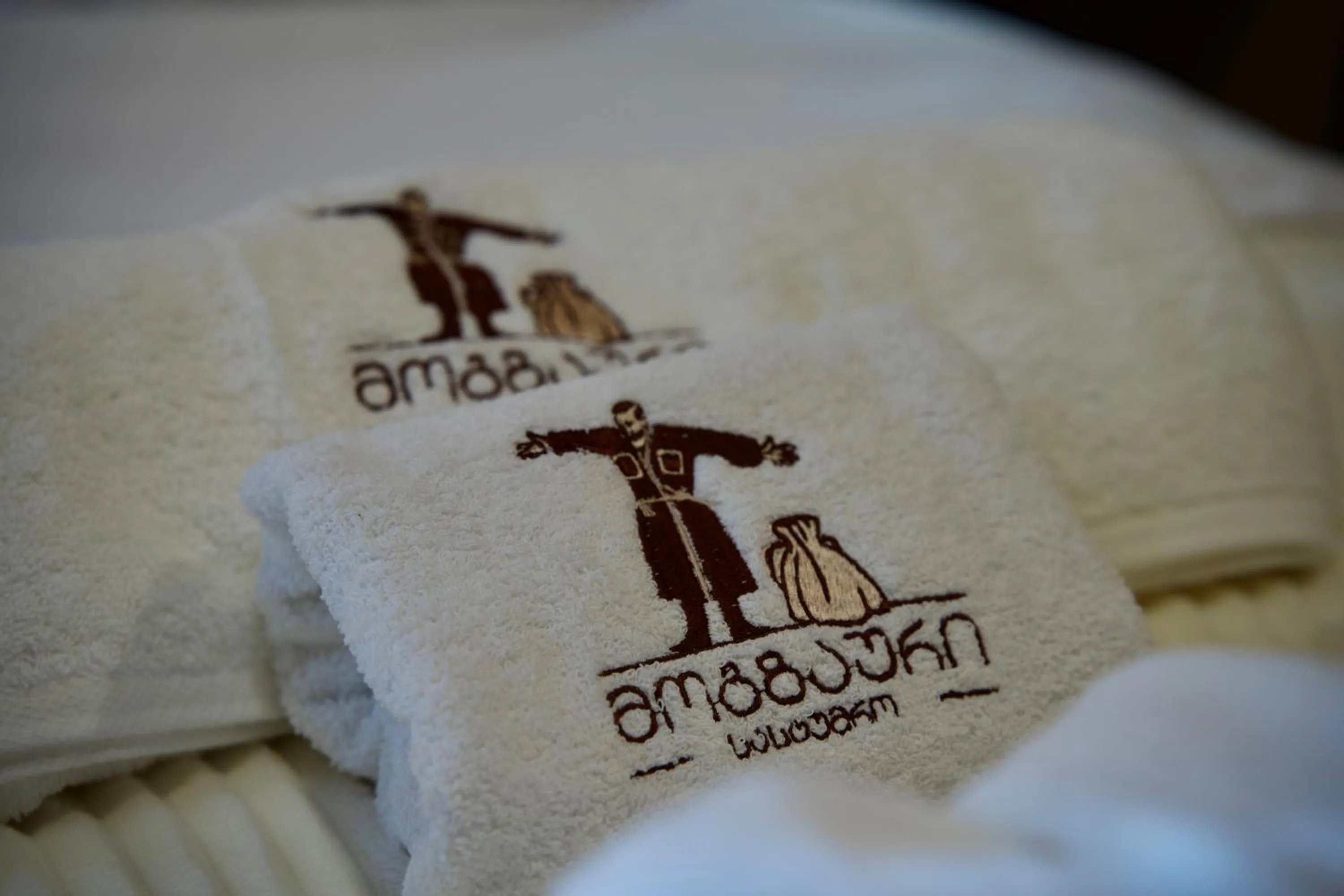 Property logo or sign in Hotel Mogzauri