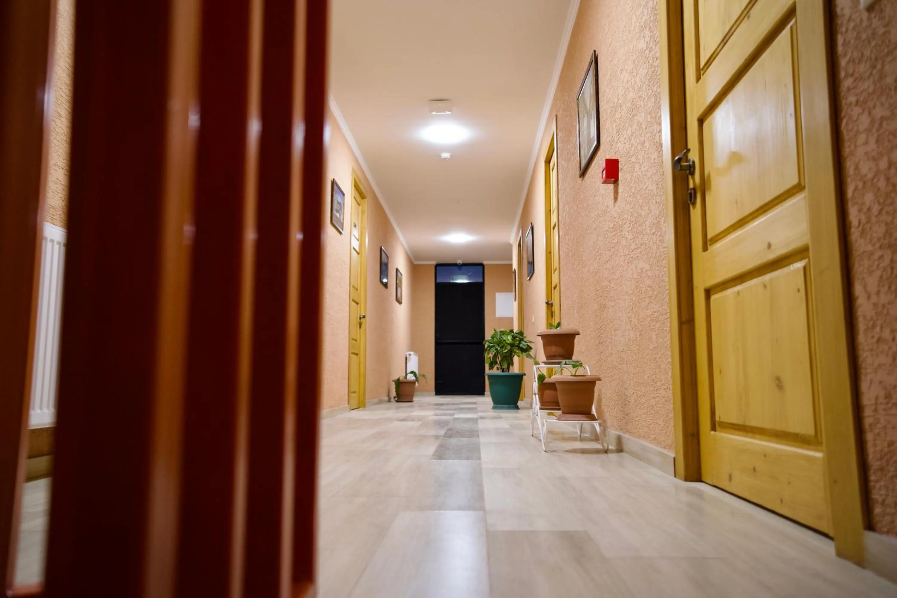 Property building in Hotel Mogzauri