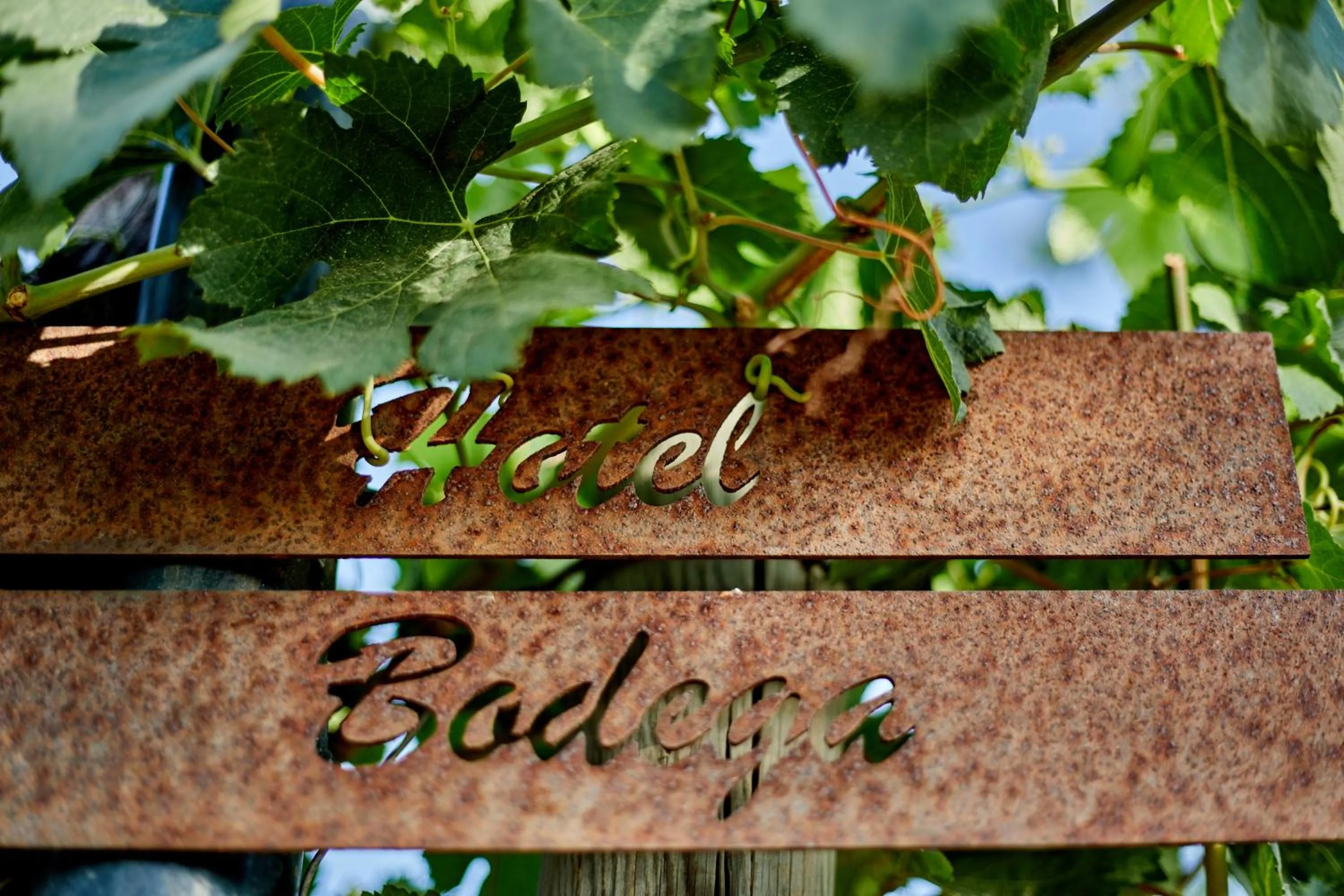 Area and facilities in Agroturismo Sa Vinya des Convent