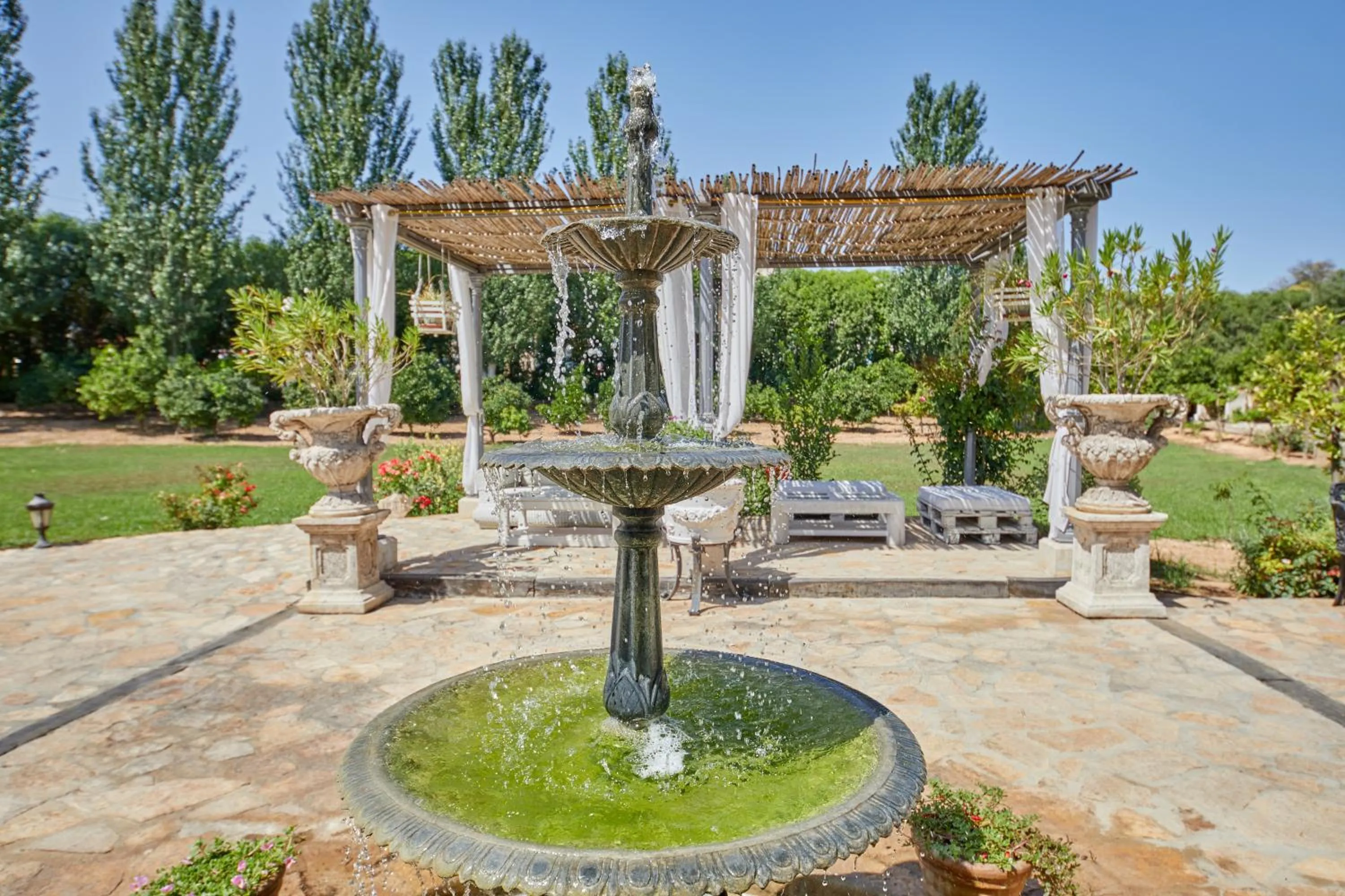 Garden in Agroturismo Sa Vinya des Convent