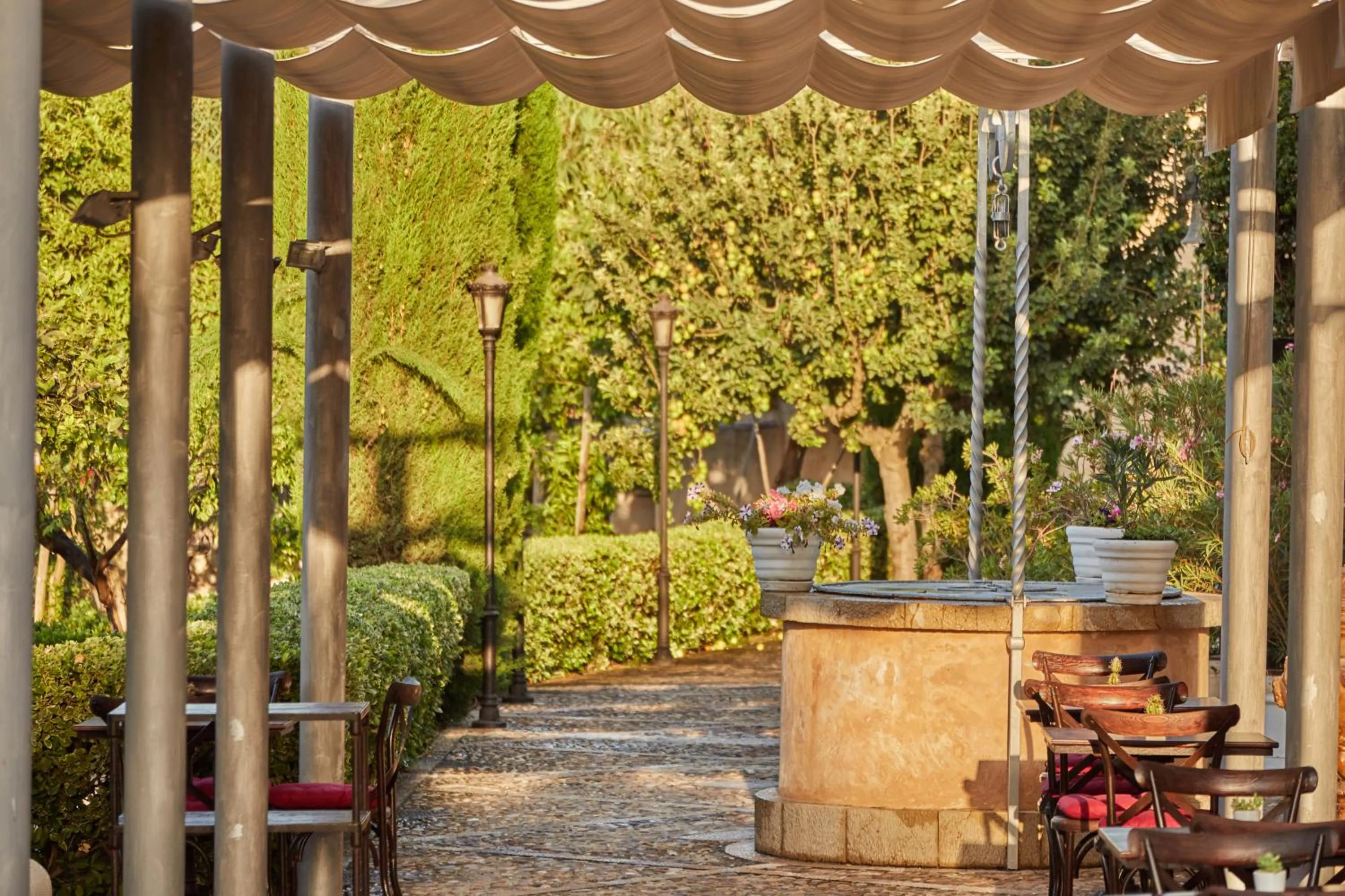 Patio in Agroturismo Sa Vinya des Convent