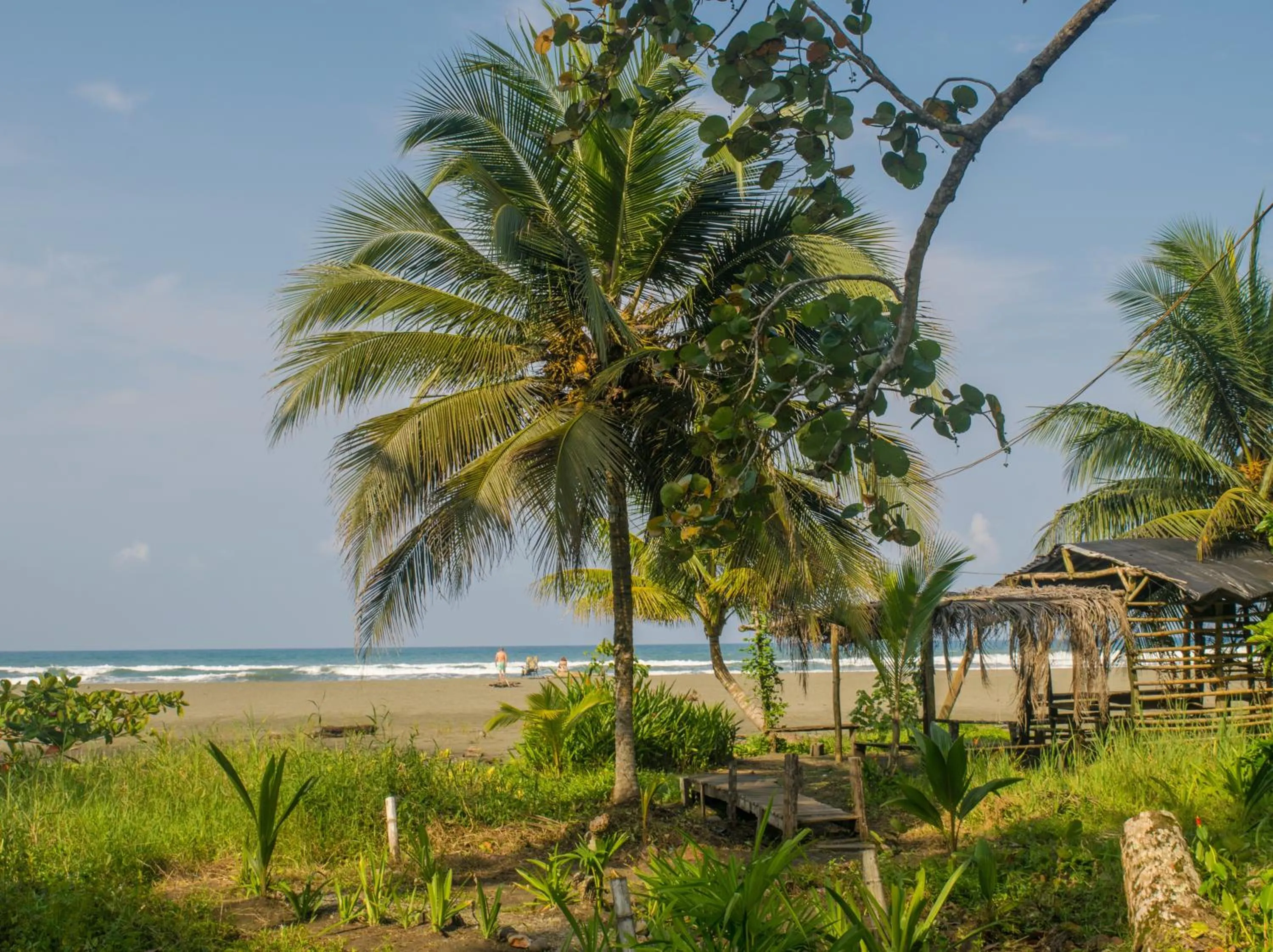 Beach in Hotel Kenaki Lodge