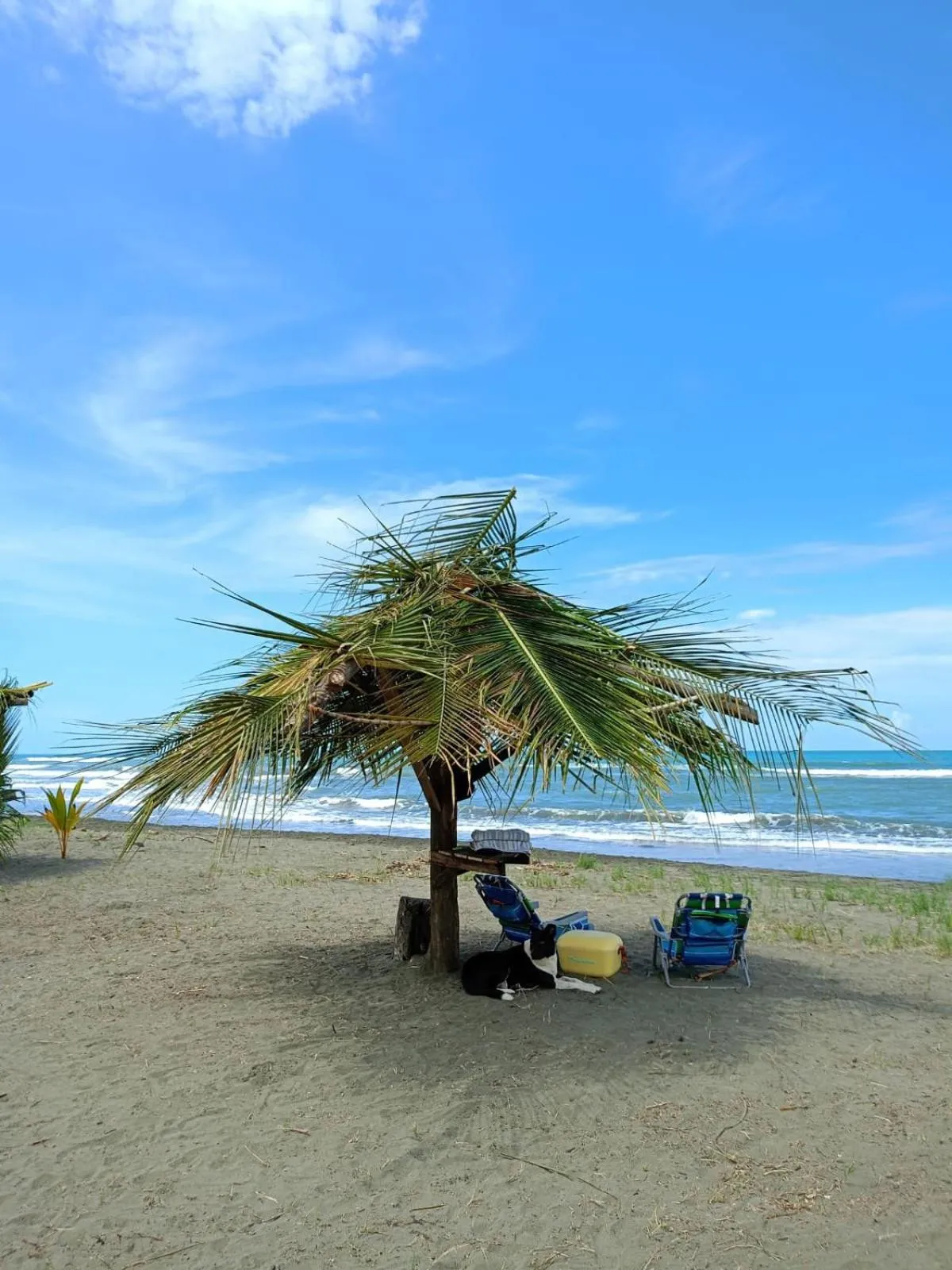 Beach in Hotel Kenaki Lodge