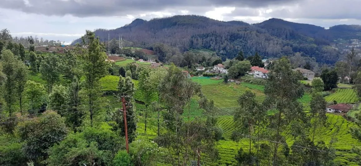 Natural landscape in The Monarch