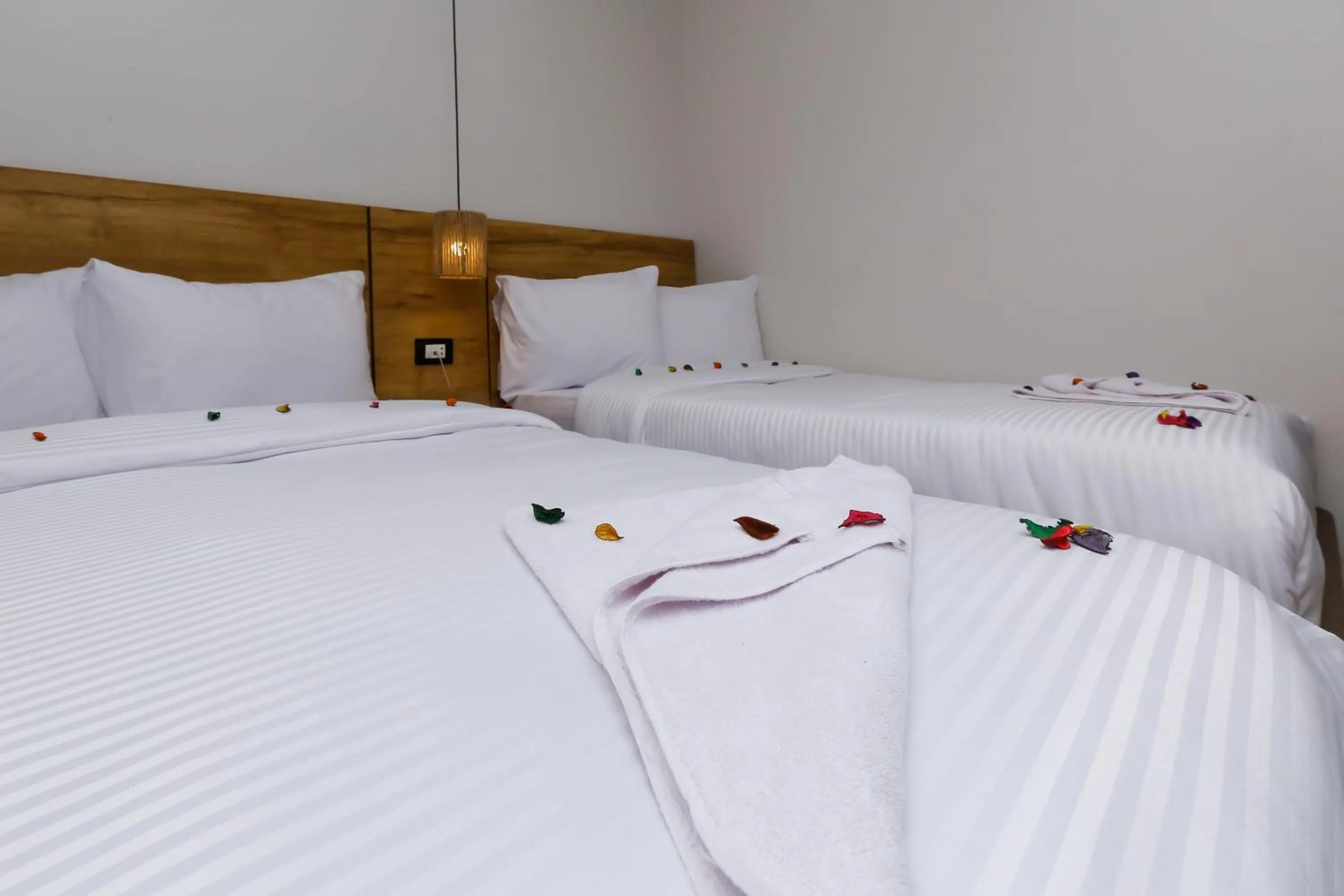 Bed in Rixoss tower Pyramids View