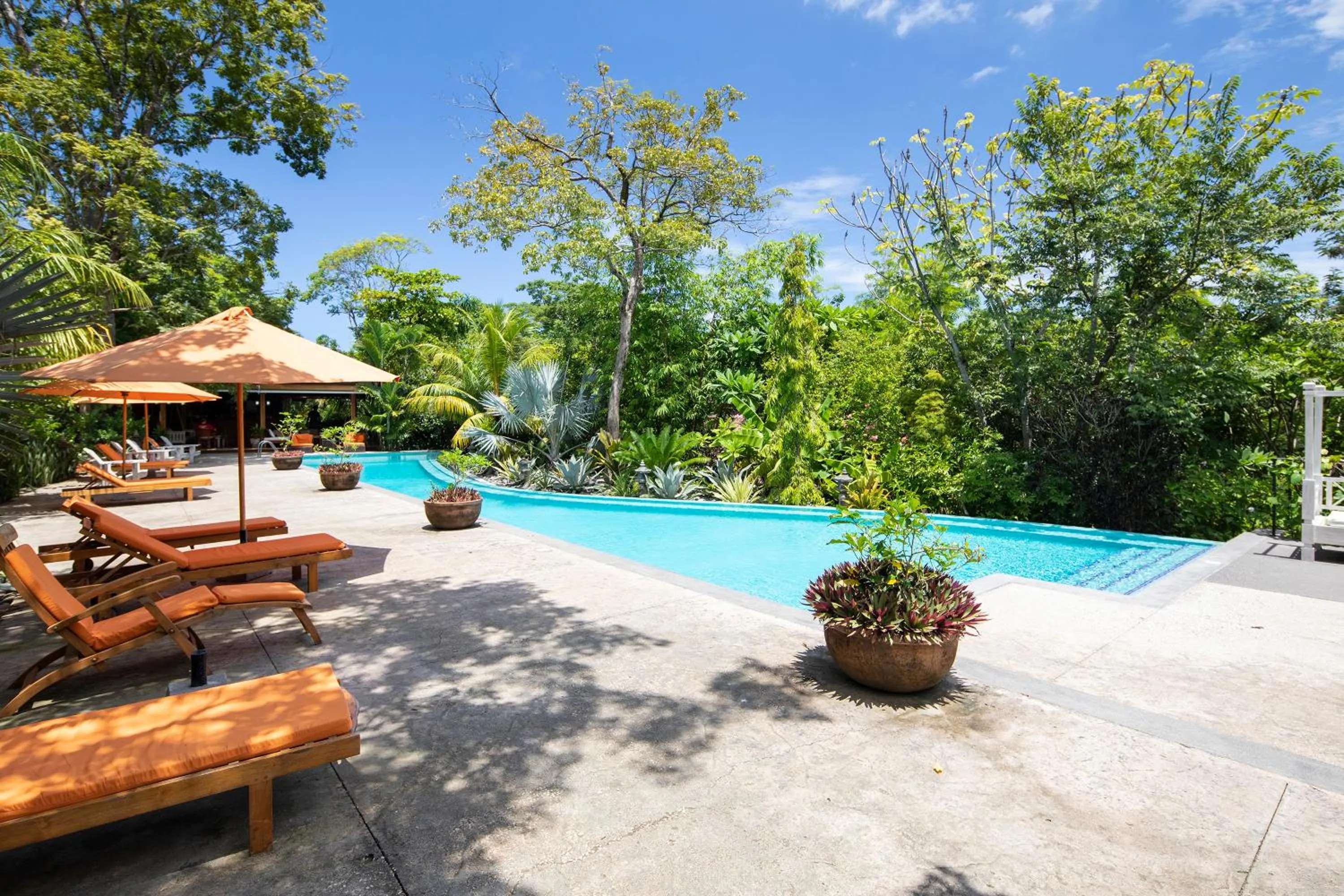 Swimming pool in Bodhi Tree Yoga Resort