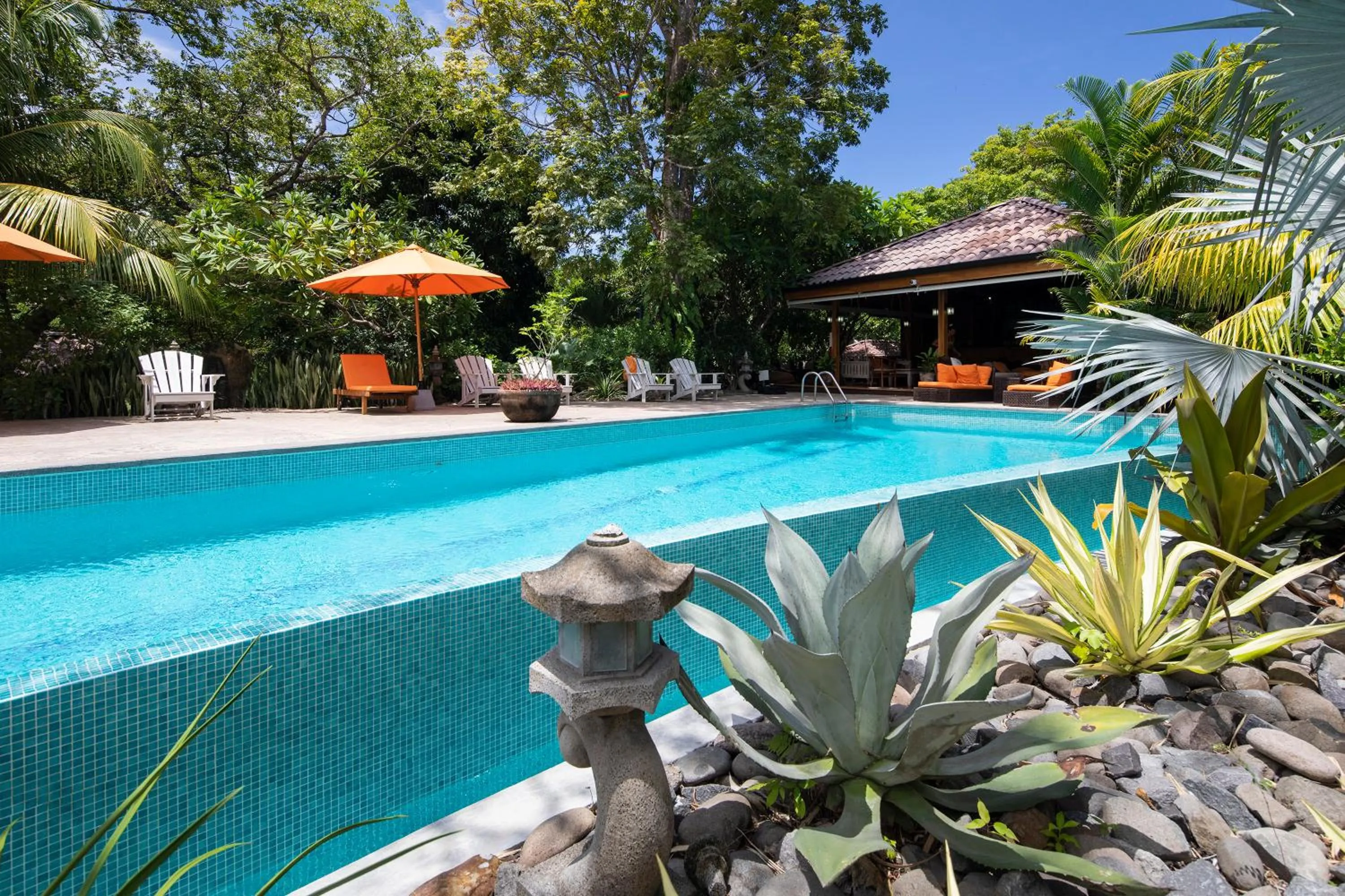 Swimming pool in Bodhi Tree Yoga Resort
