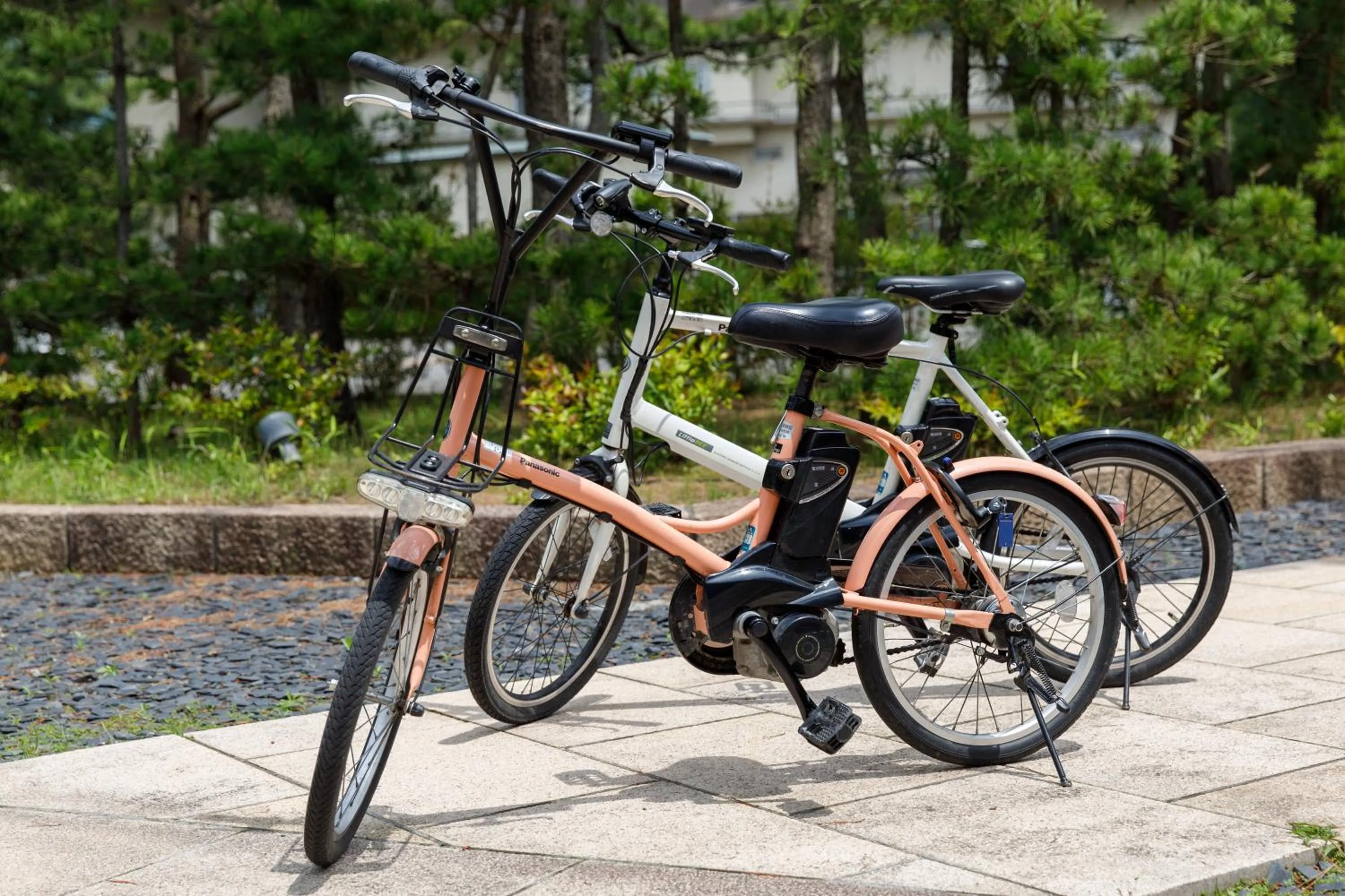 Cycling in Matsushima Ichinobo