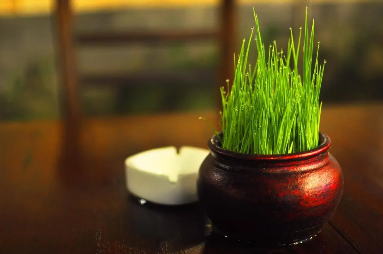 Other in Pandanaran Prawirotaman Yogyakarta