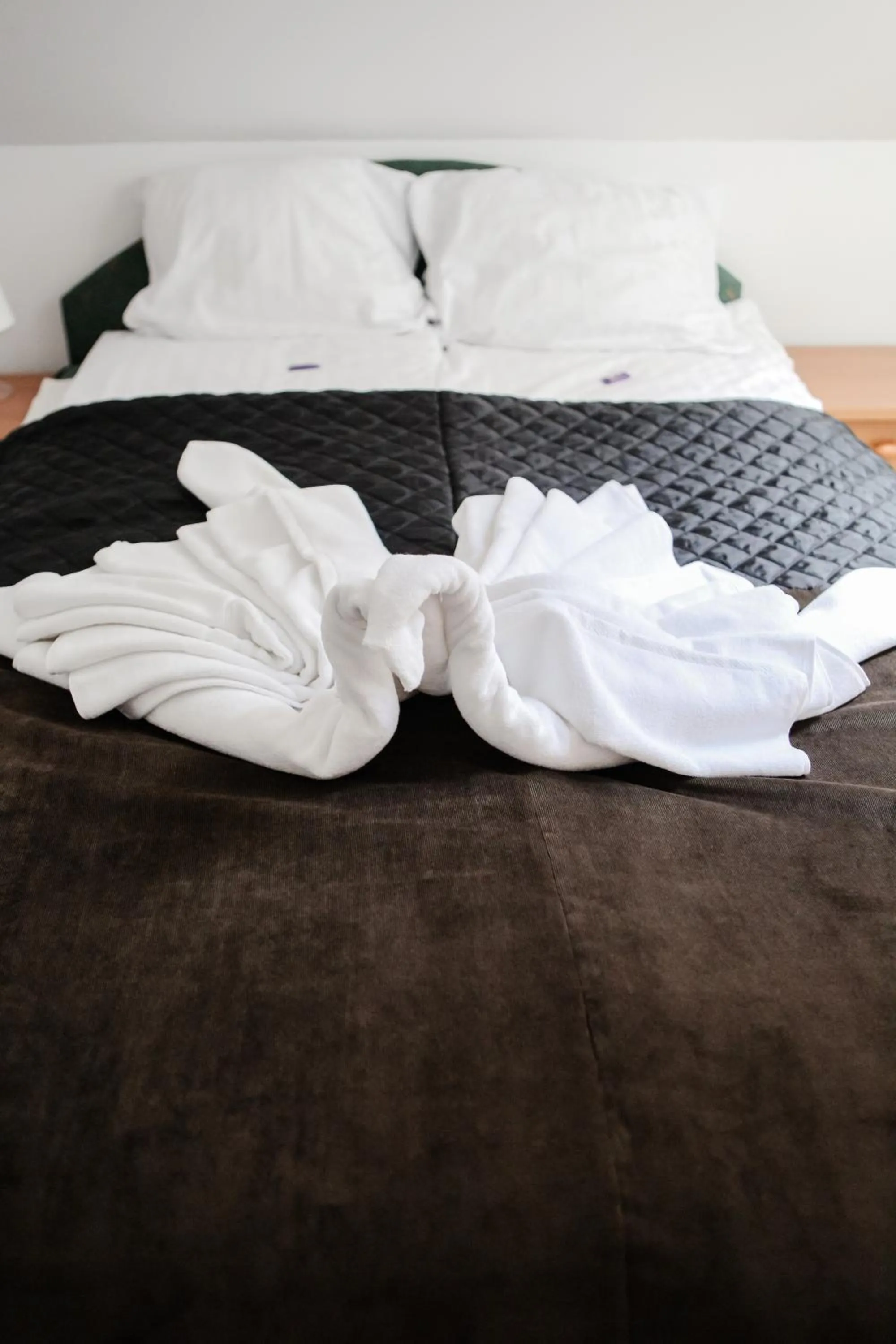 Bedroom, Bed in Dom Goscinny Bialy Dworek