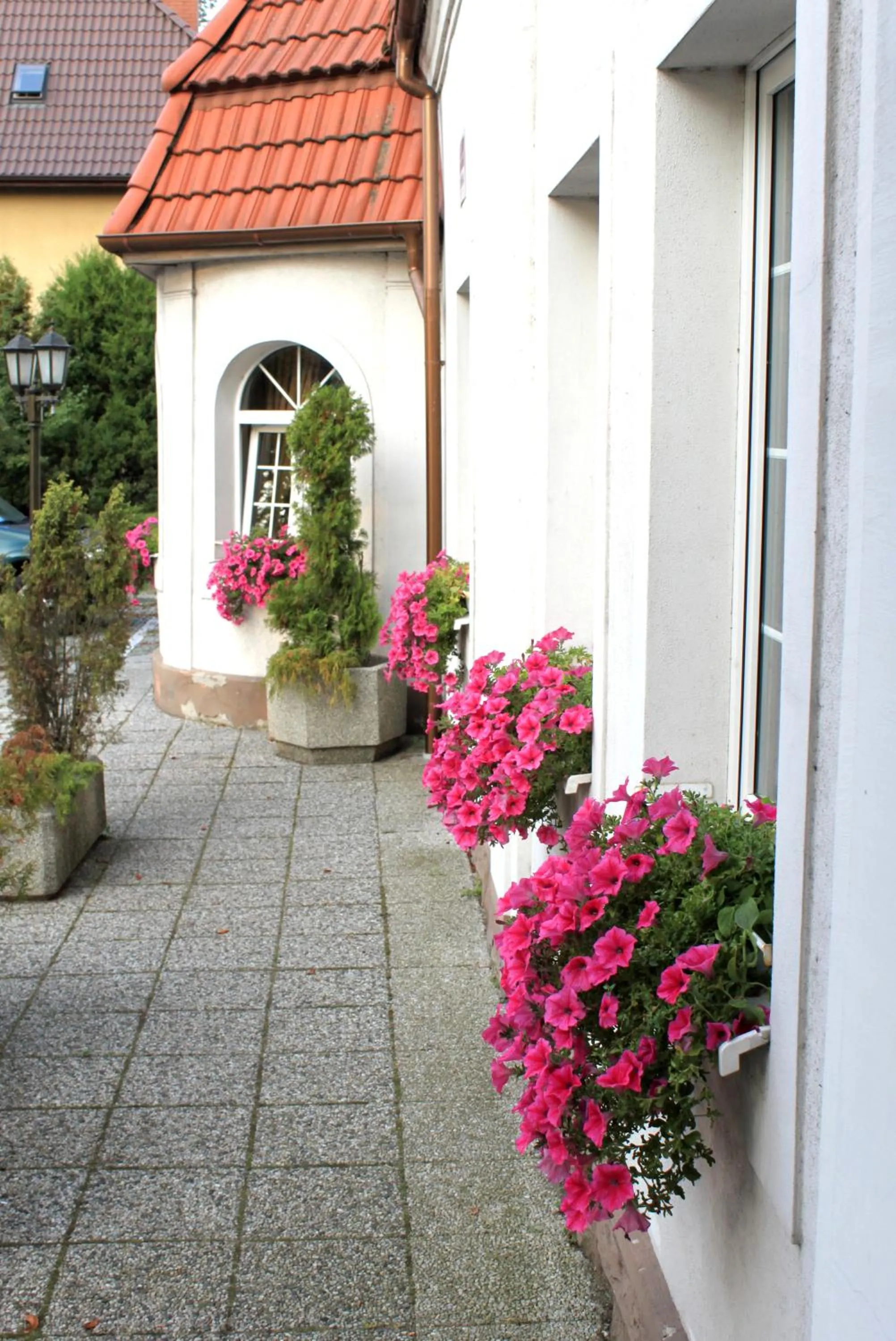 Facade/entrance in Dom Goscinny Bialy Dworek