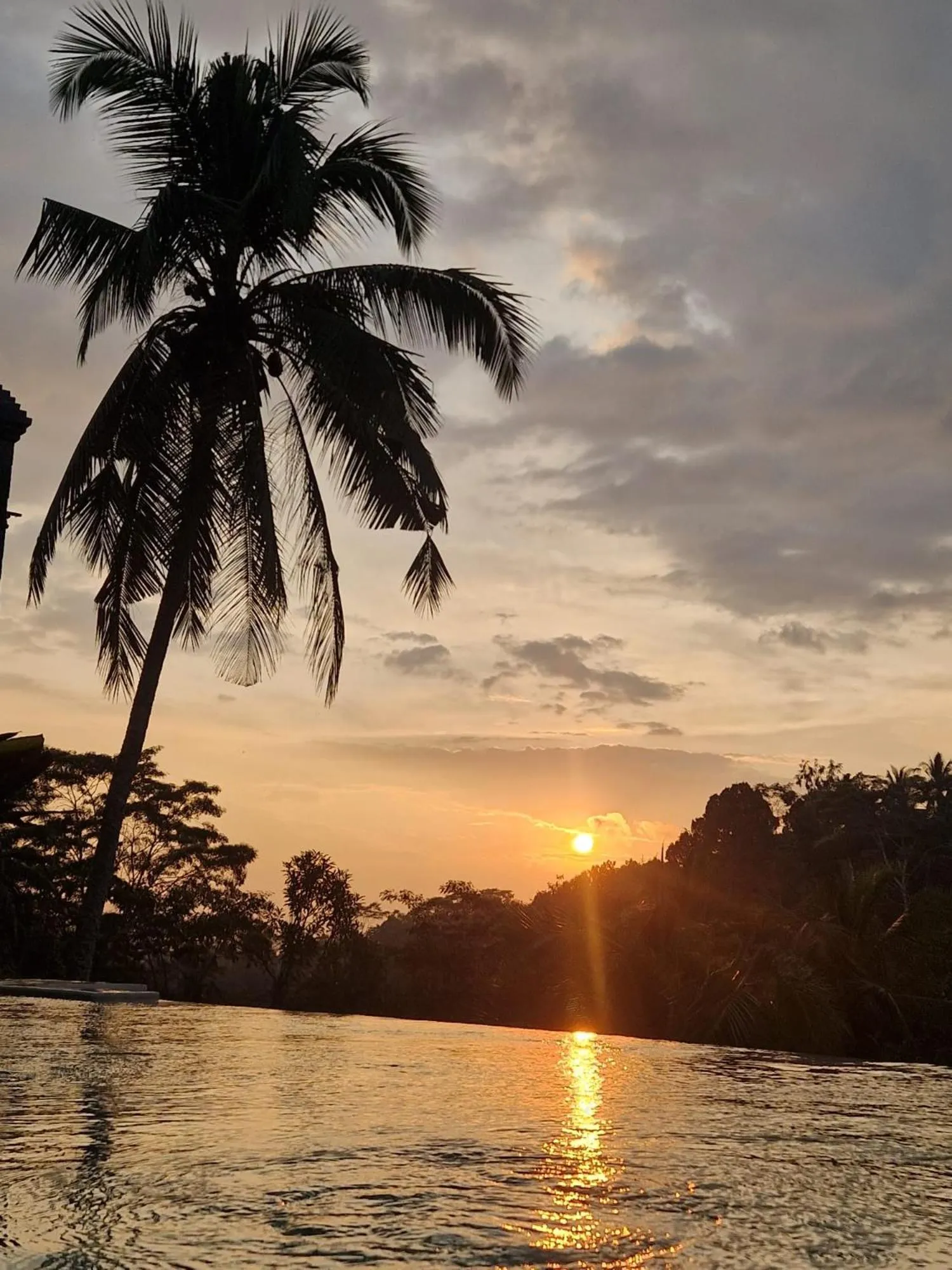 Natural landscape in Muraya Villas in Ubud
