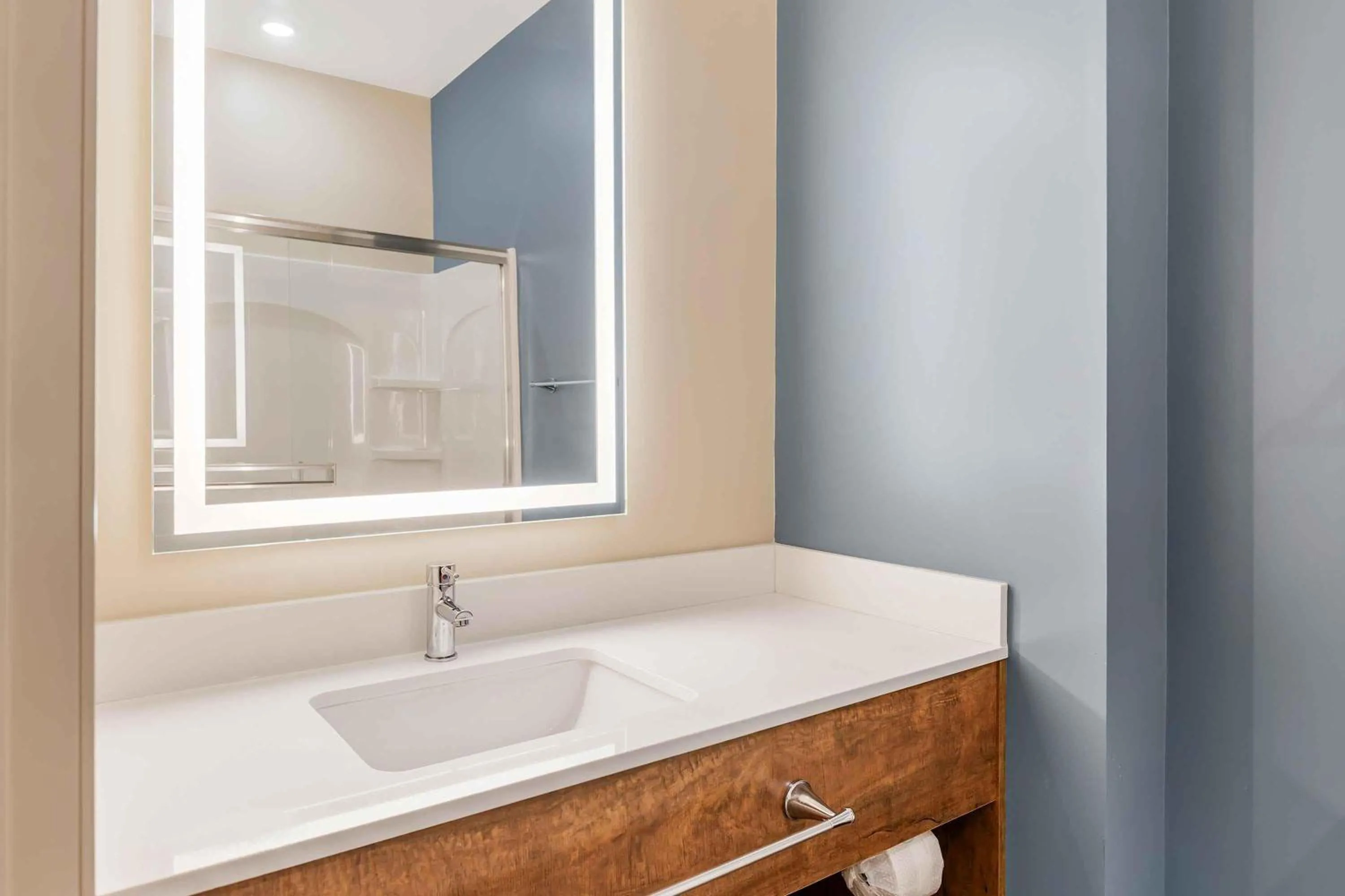 Bathroom in Extended Stay America Premier Suites - Charlottesville