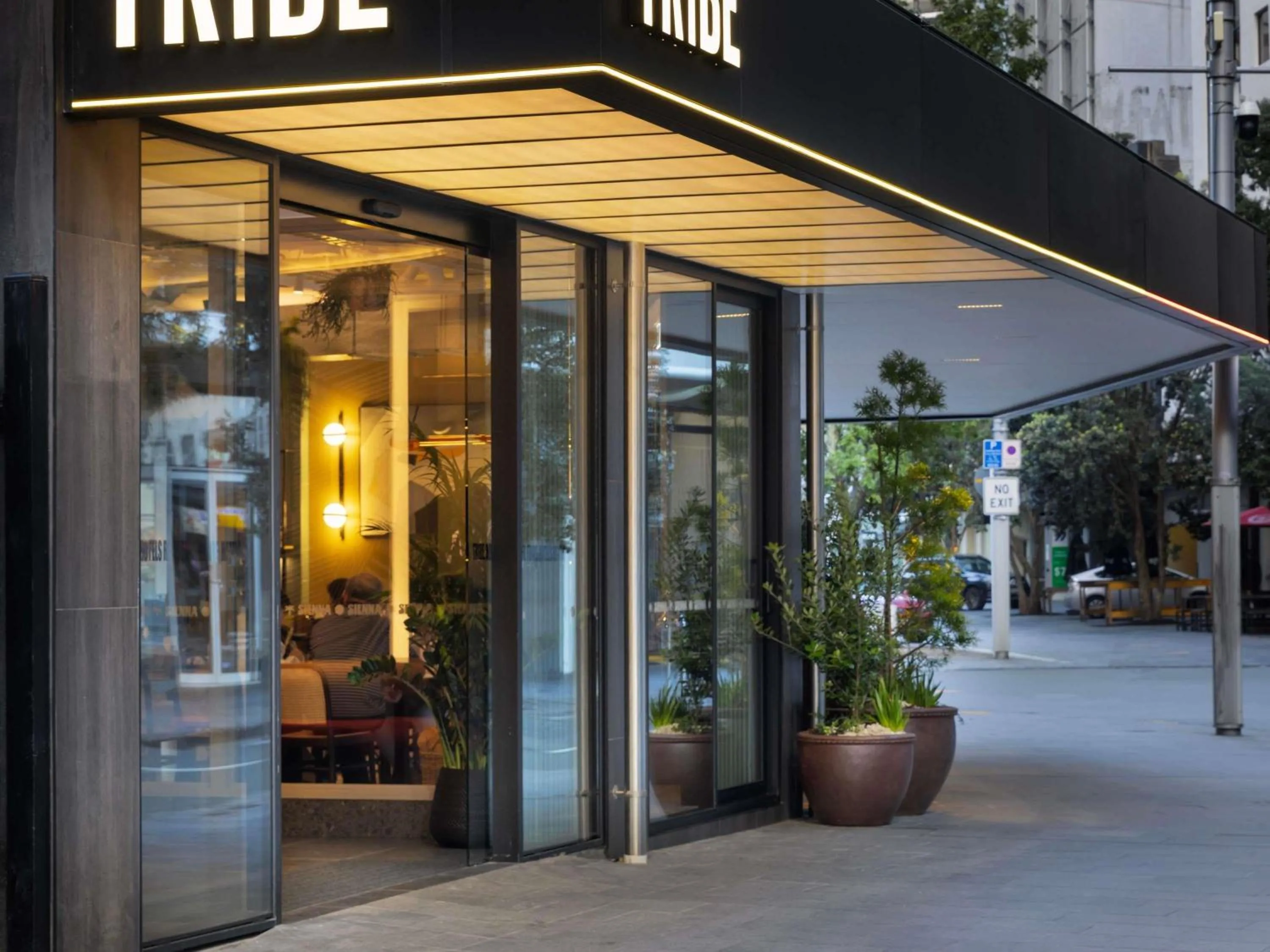 Other in TRIBE Auckland