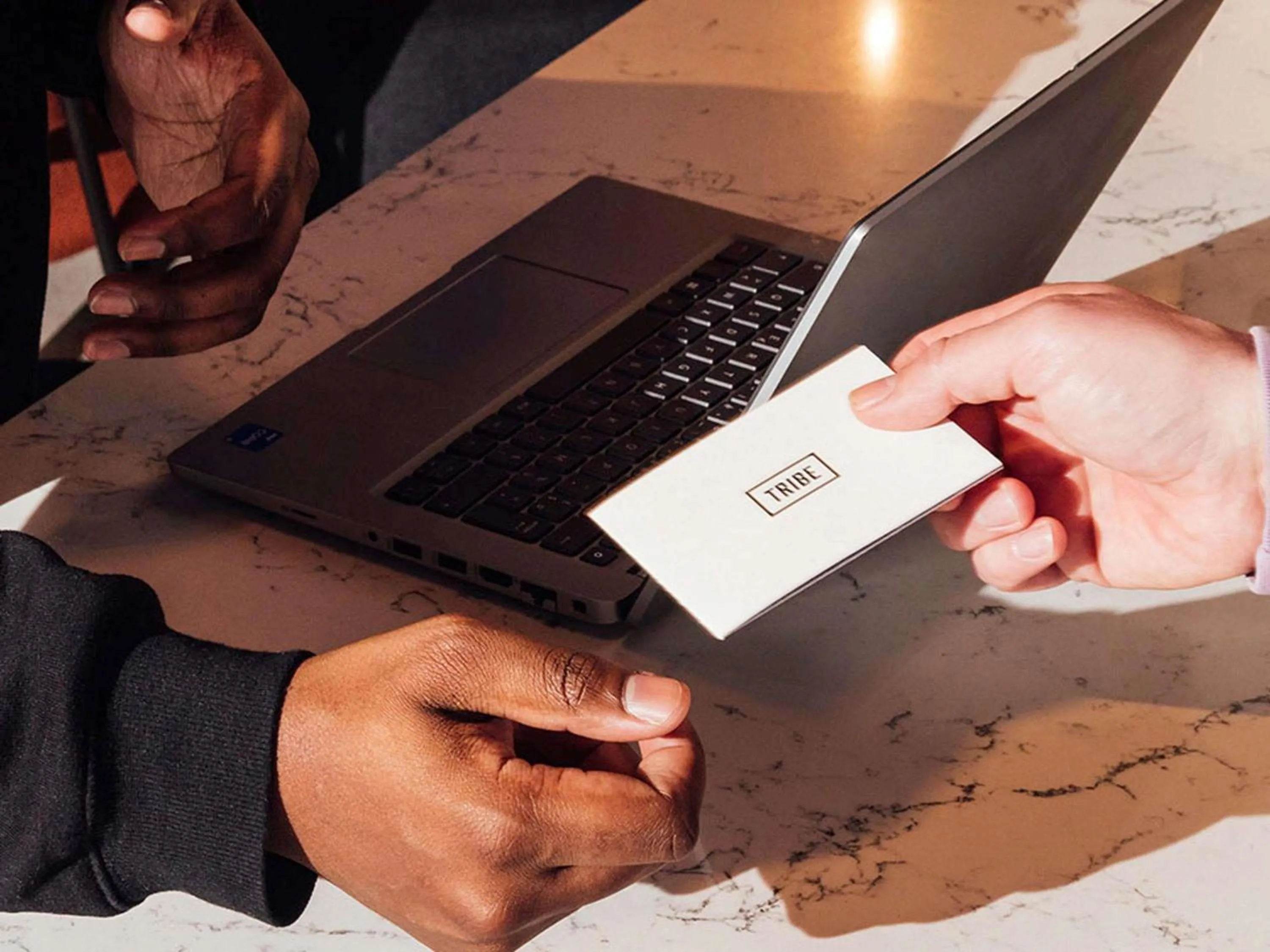 Other in TRIBE Auckland