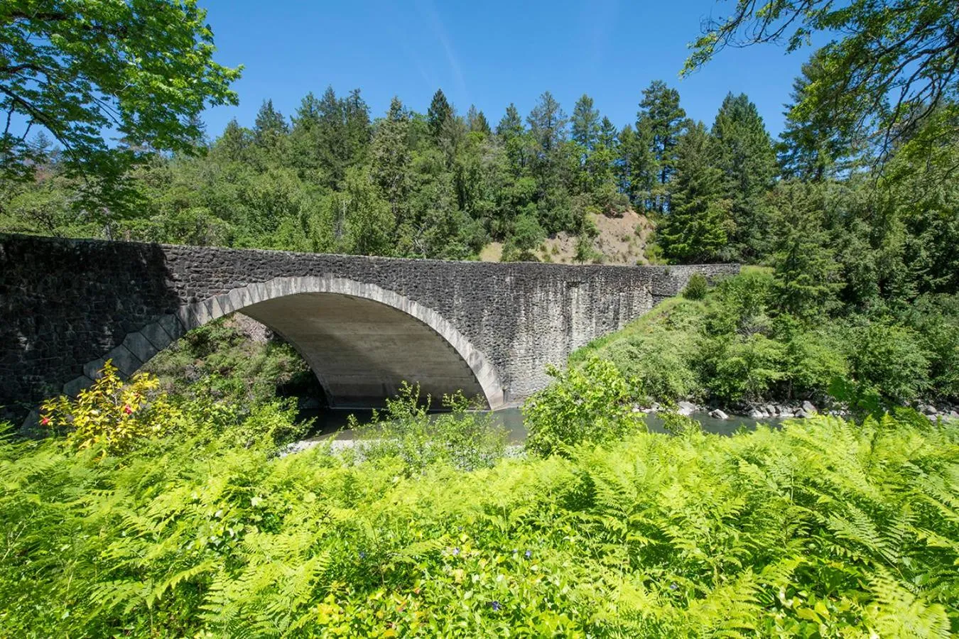 View (from property/room) in Benbow Historic Inn