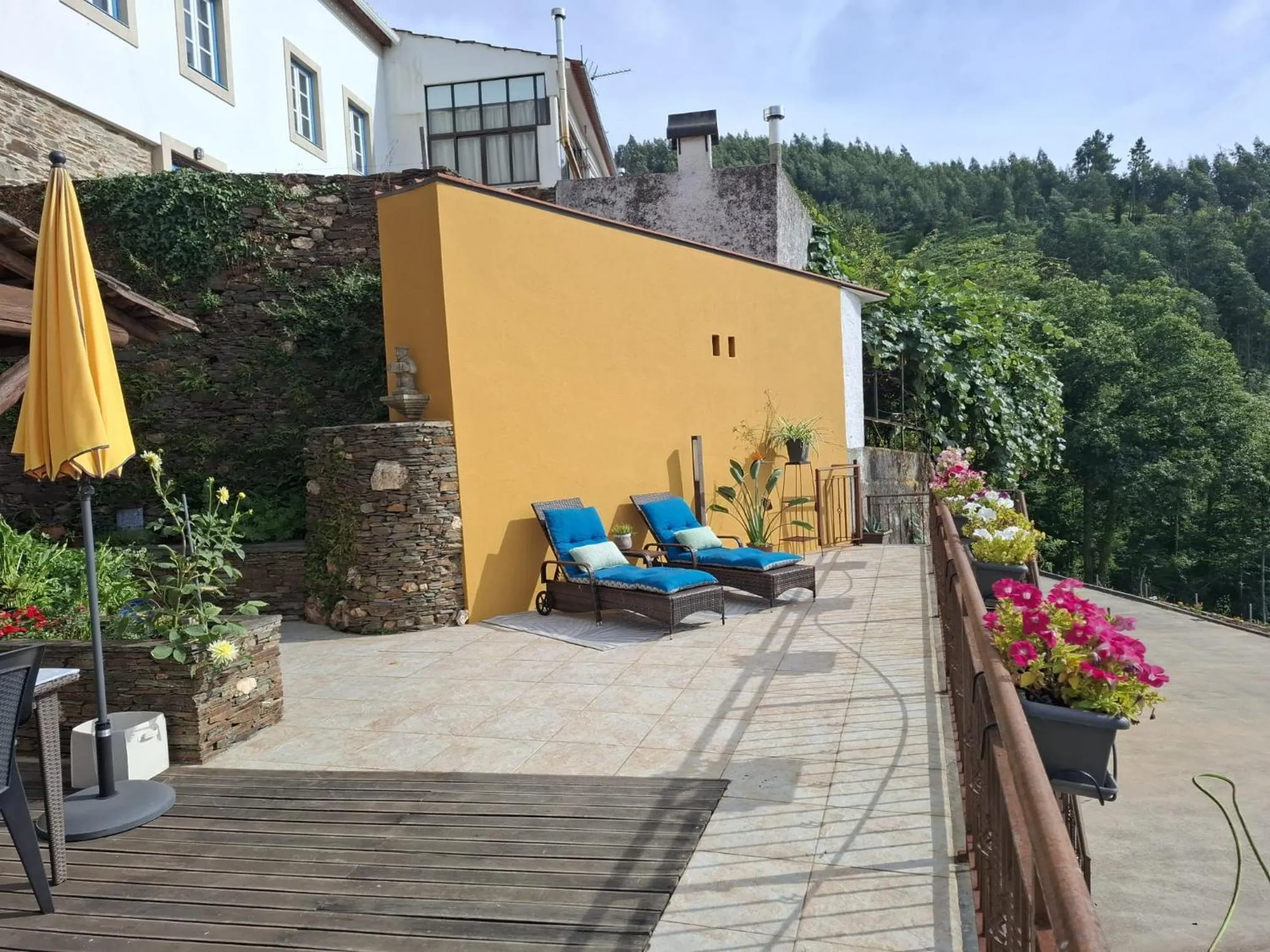 View (from property/room) in Campus Natura