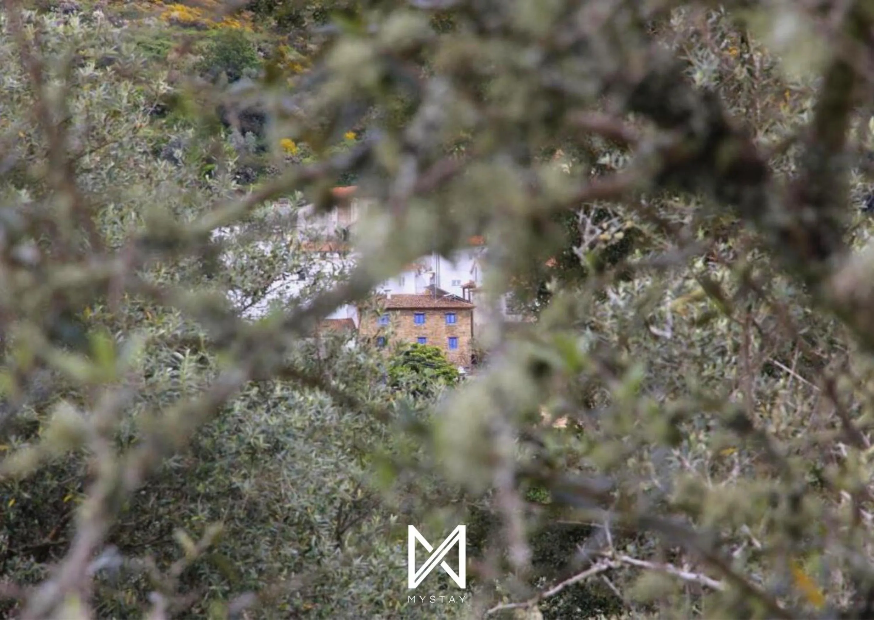 Natural landscape in MyStay - Campus Natura