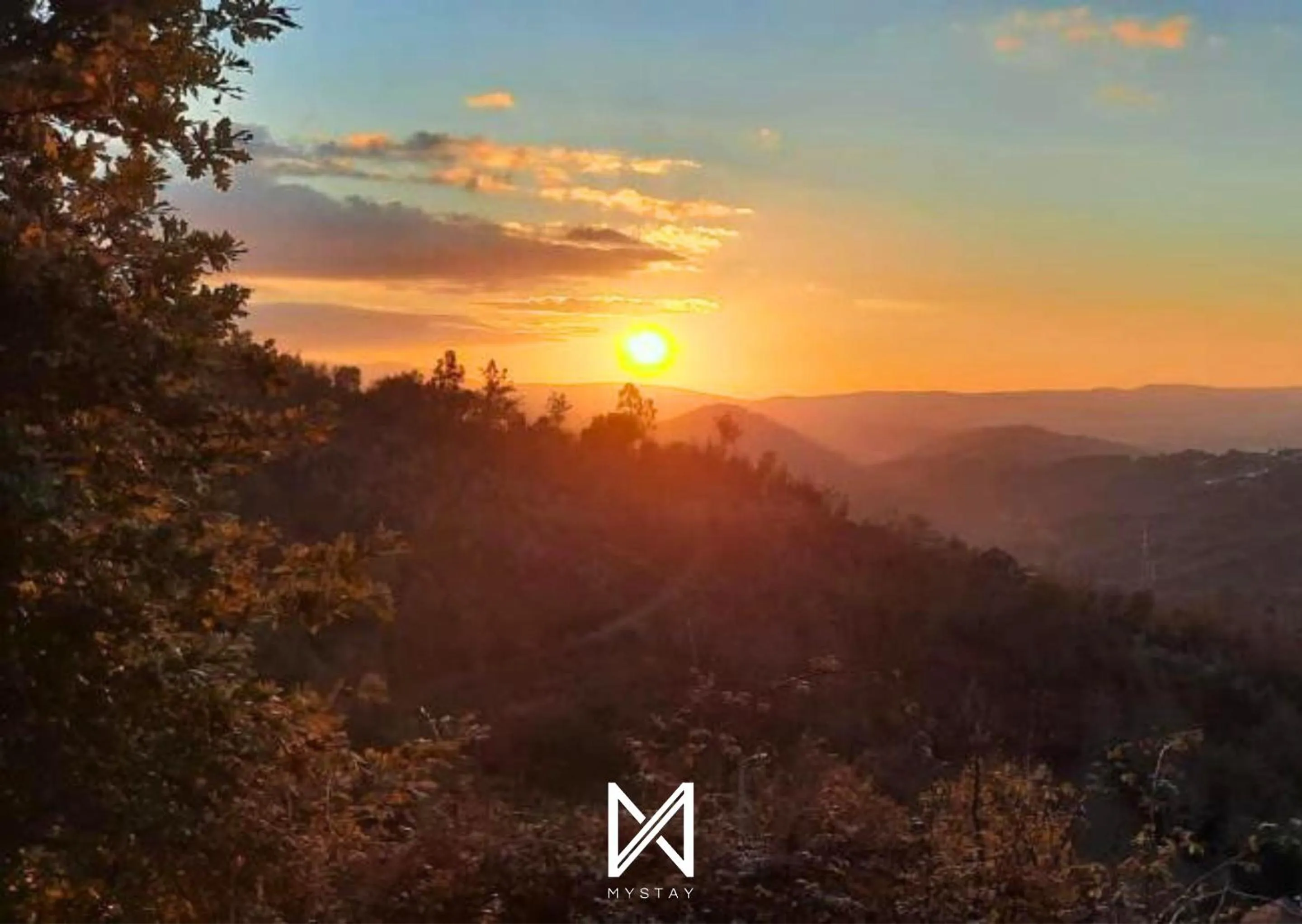 Natural landscape in MyStay - Campus Natura