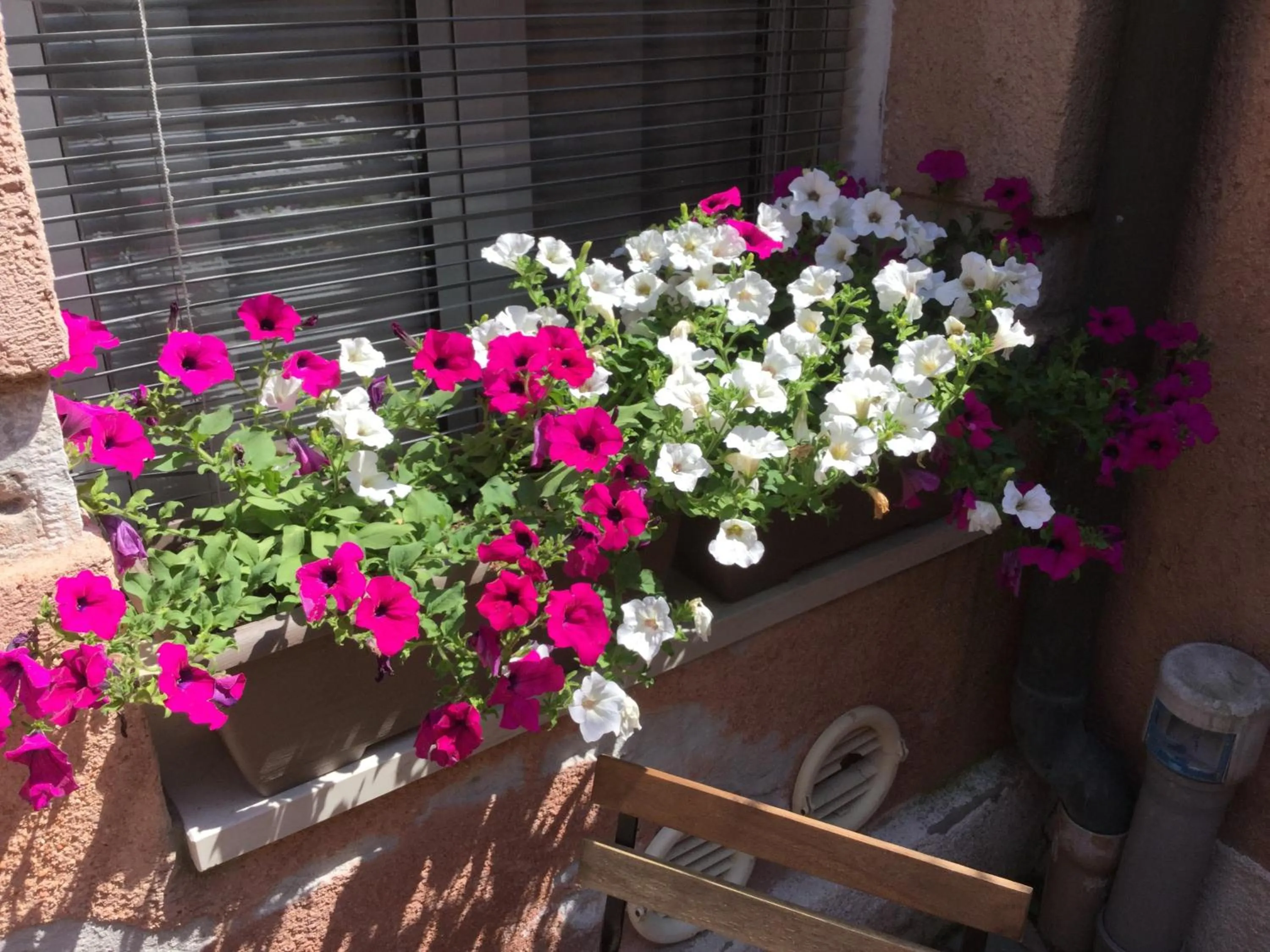 Decorative detail in Cannaregio II Apartments