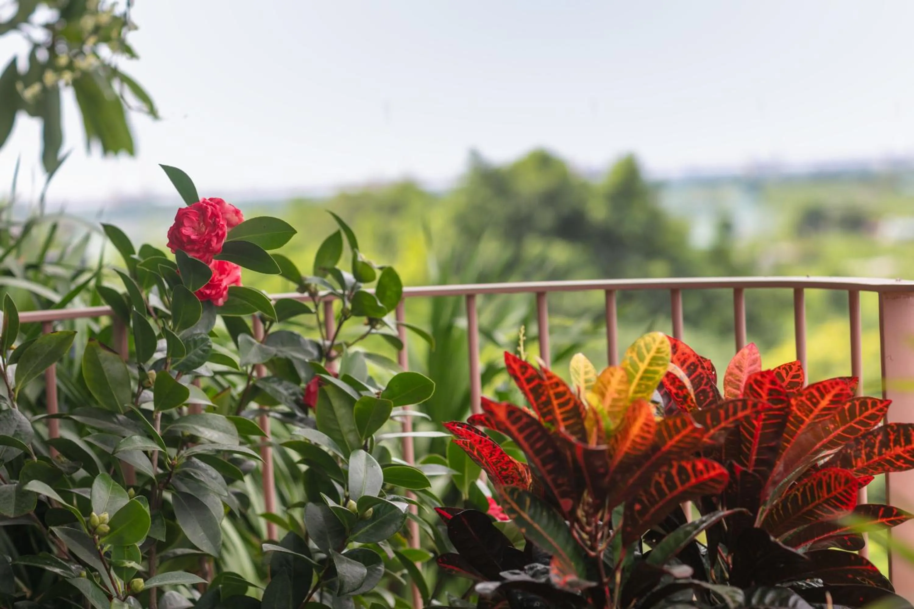 Day in Hanoi Riverview Boutique Hotel & Apartment