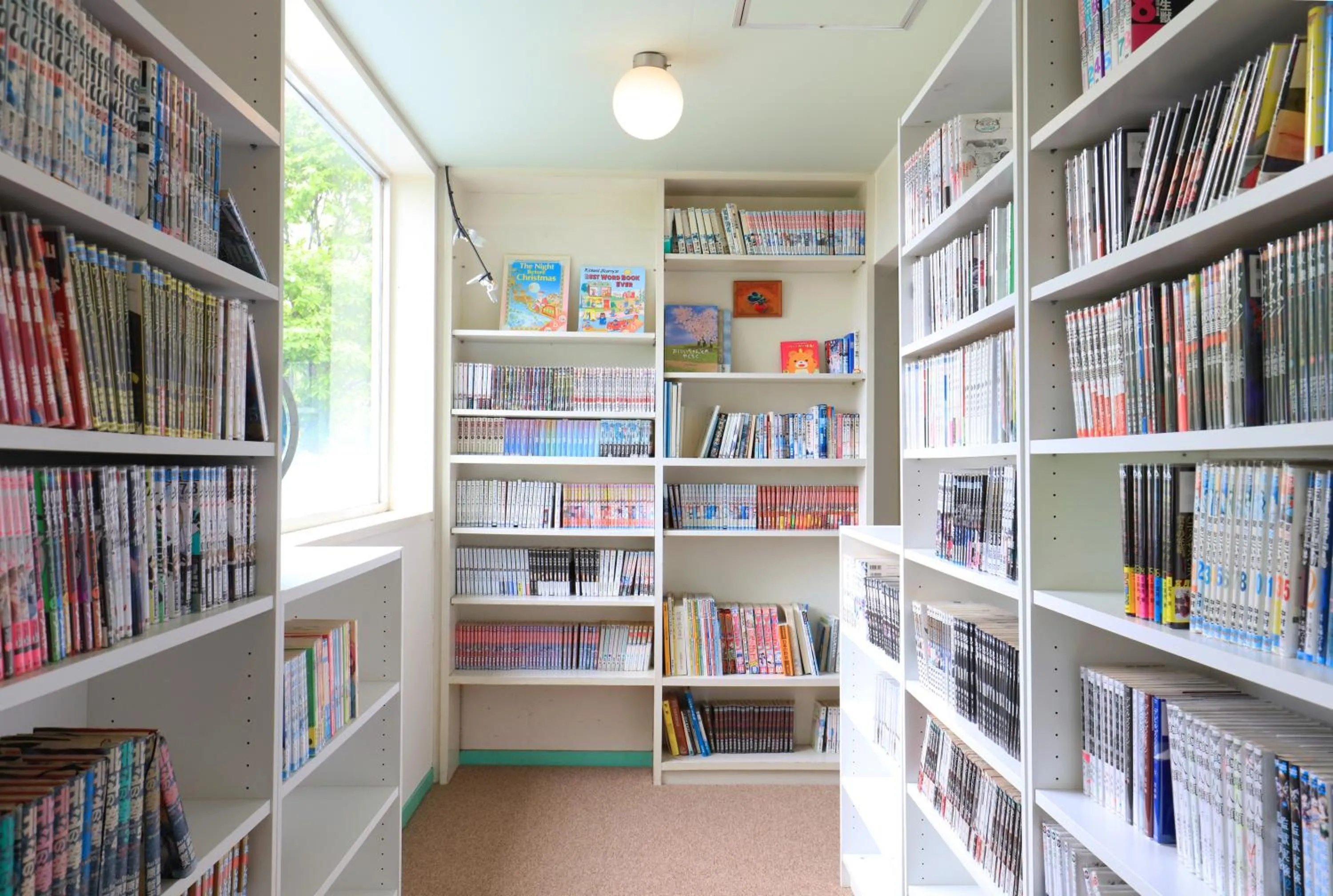 Library in Human resort