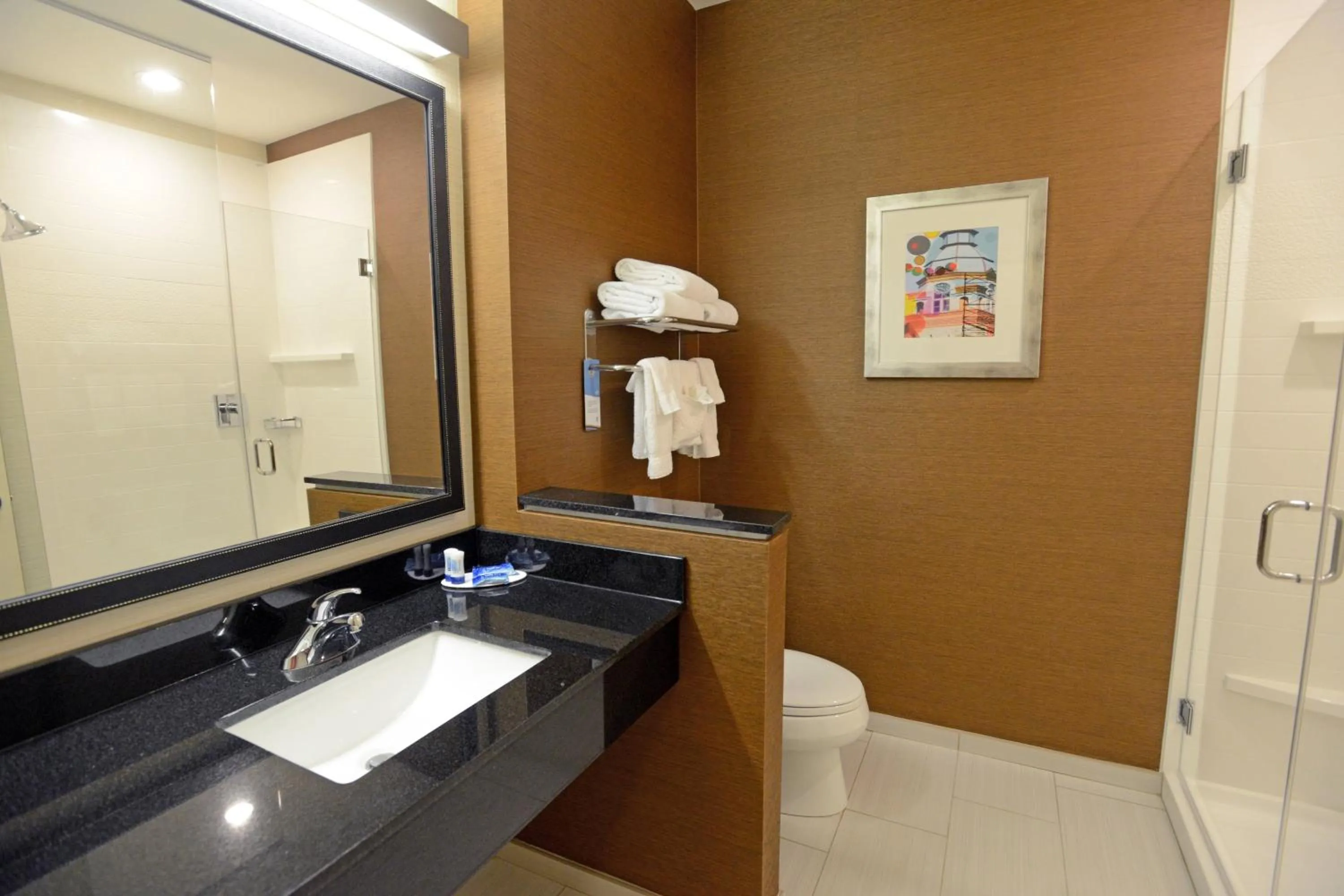 Bathroom in Fairfield Inn & Suites by Marriott Bowling Green