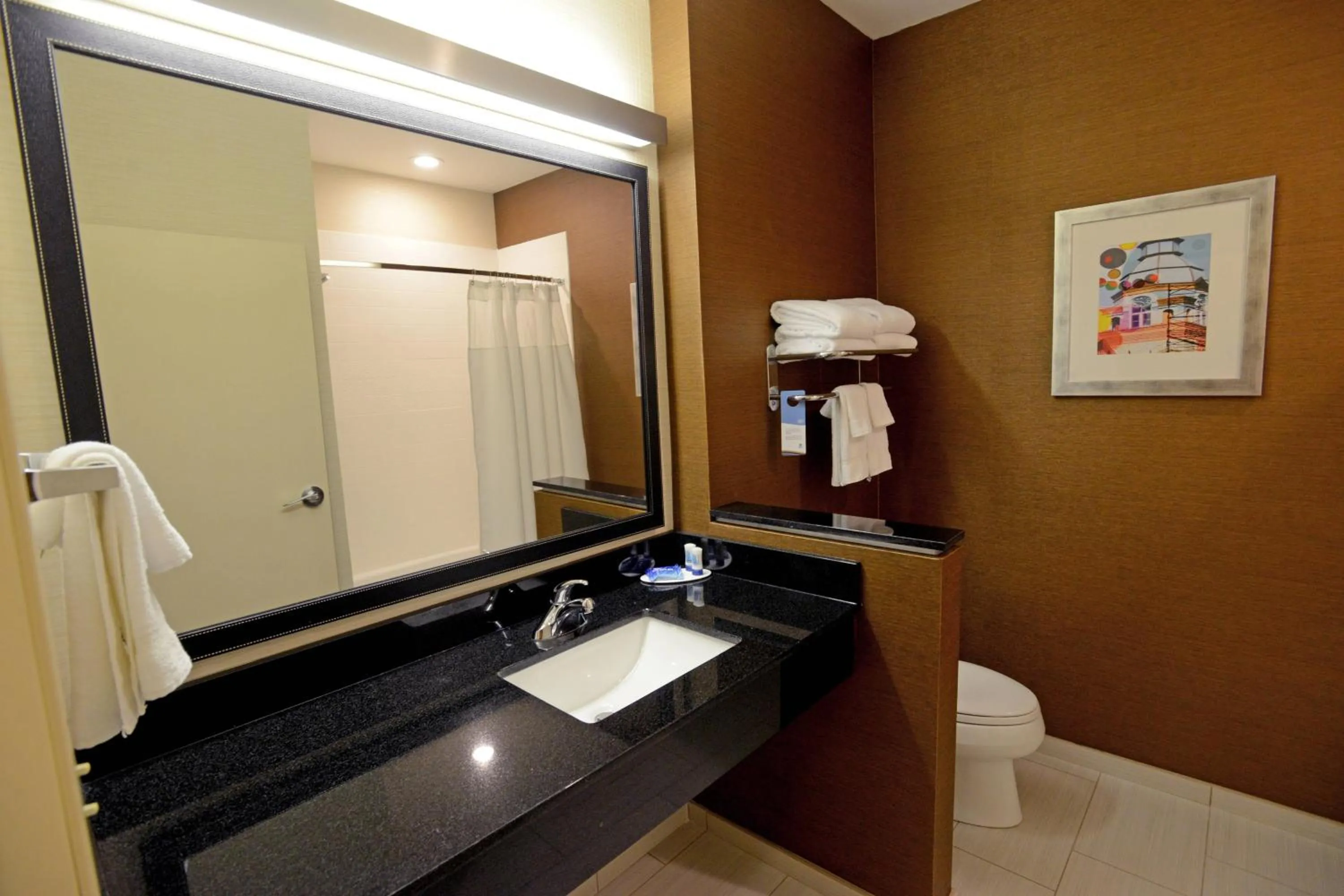 Bathroom in Fairfield Inn & Suites by Marriott Bowling Green