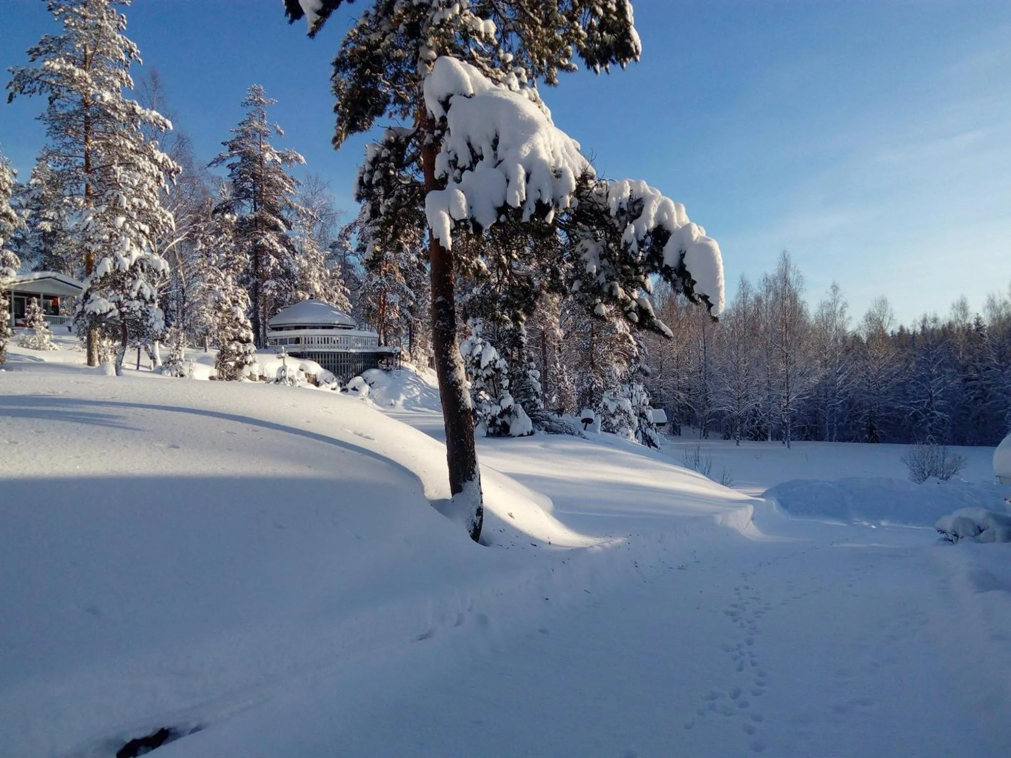 Natural landscape in Hostel Mansikka