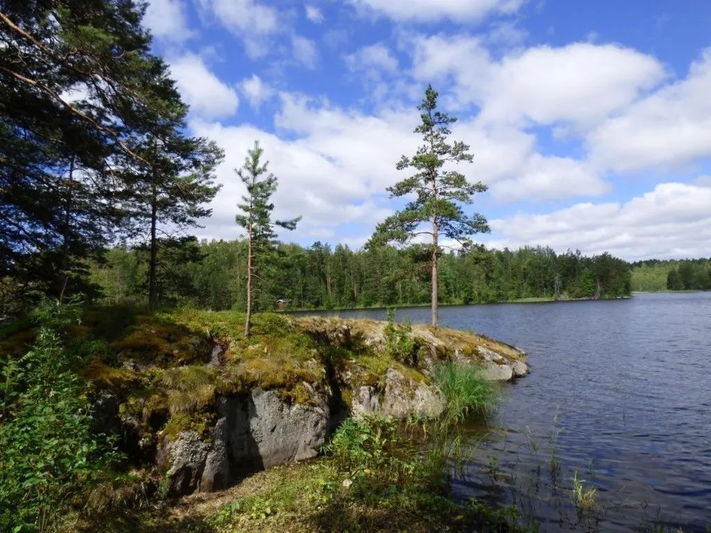 Natural landscape in Hostel Mansikka