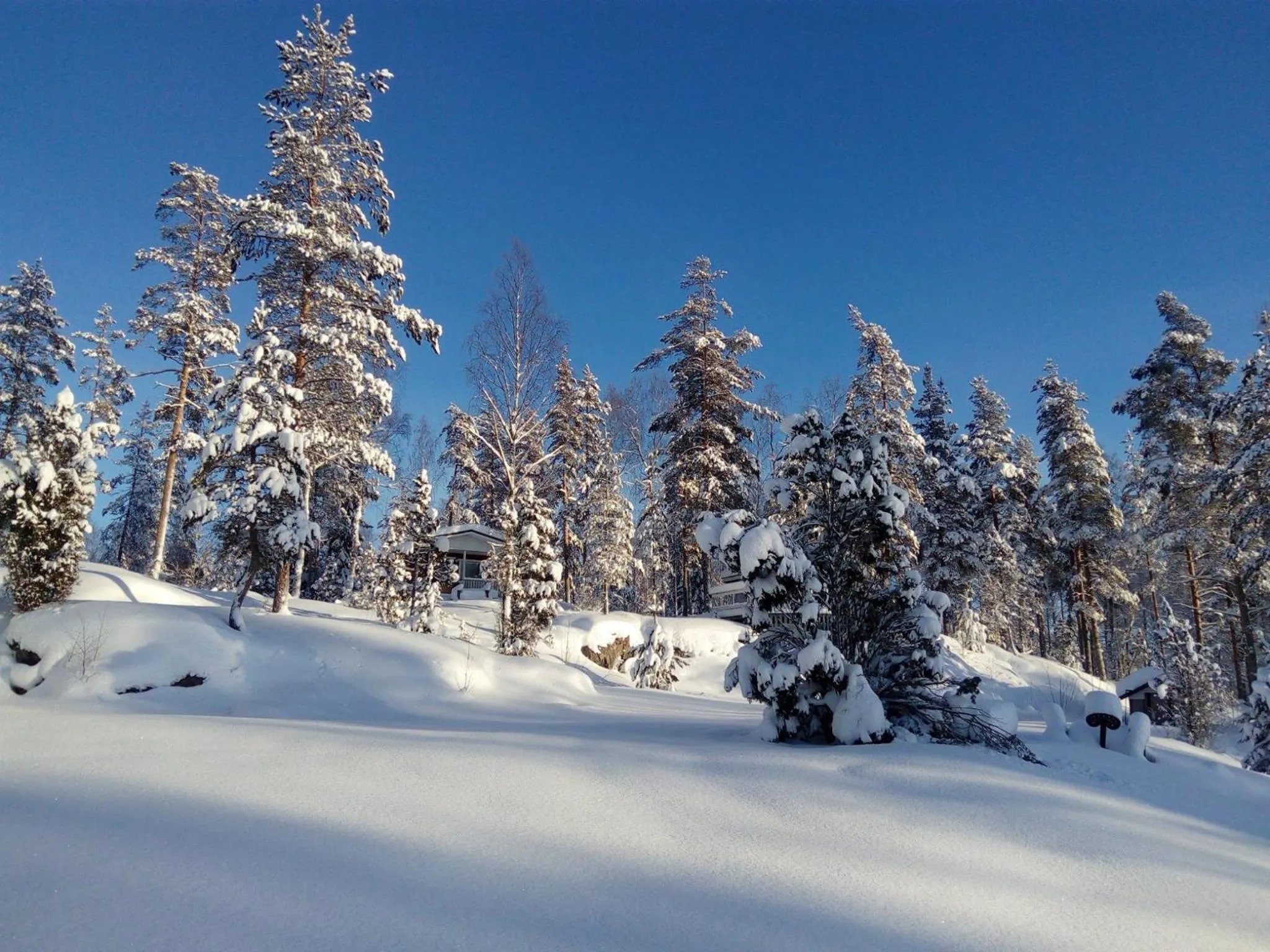 Natural landscape in Hostel Mansikka