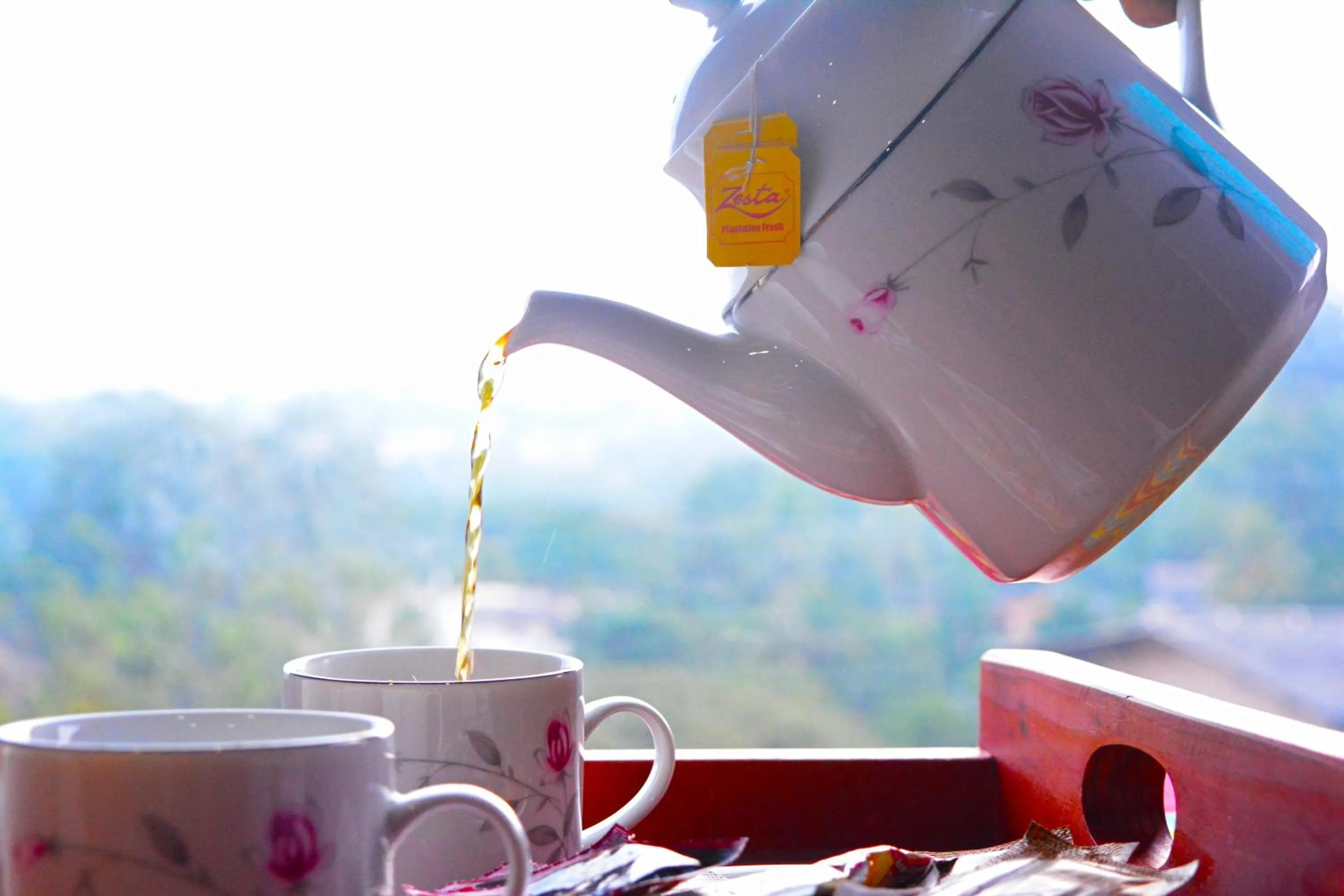 Elegance Range Resort