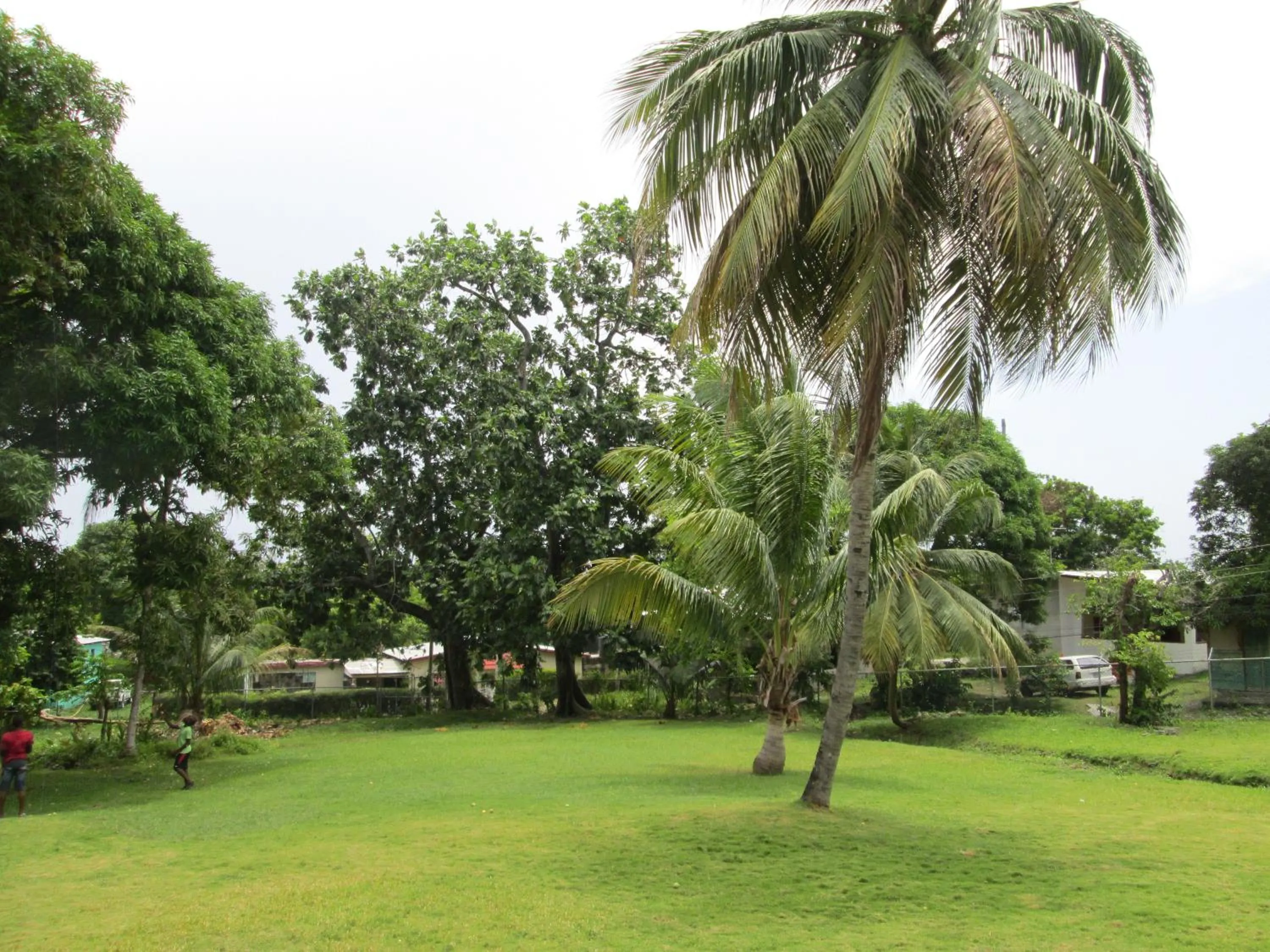 Natural landscape in Paradise Inn