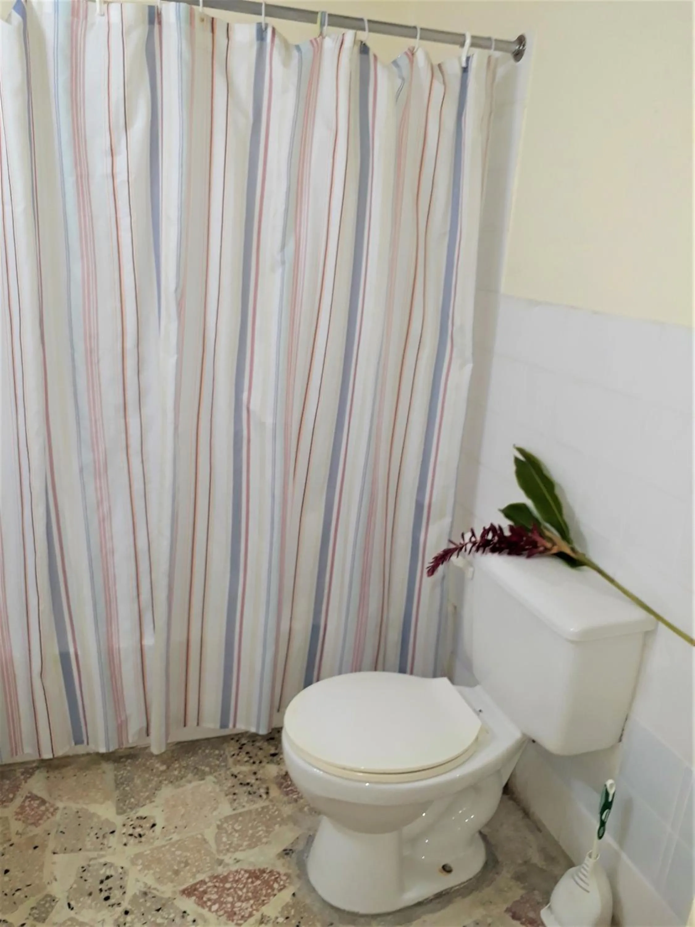 Bathroom in Paradise Inn