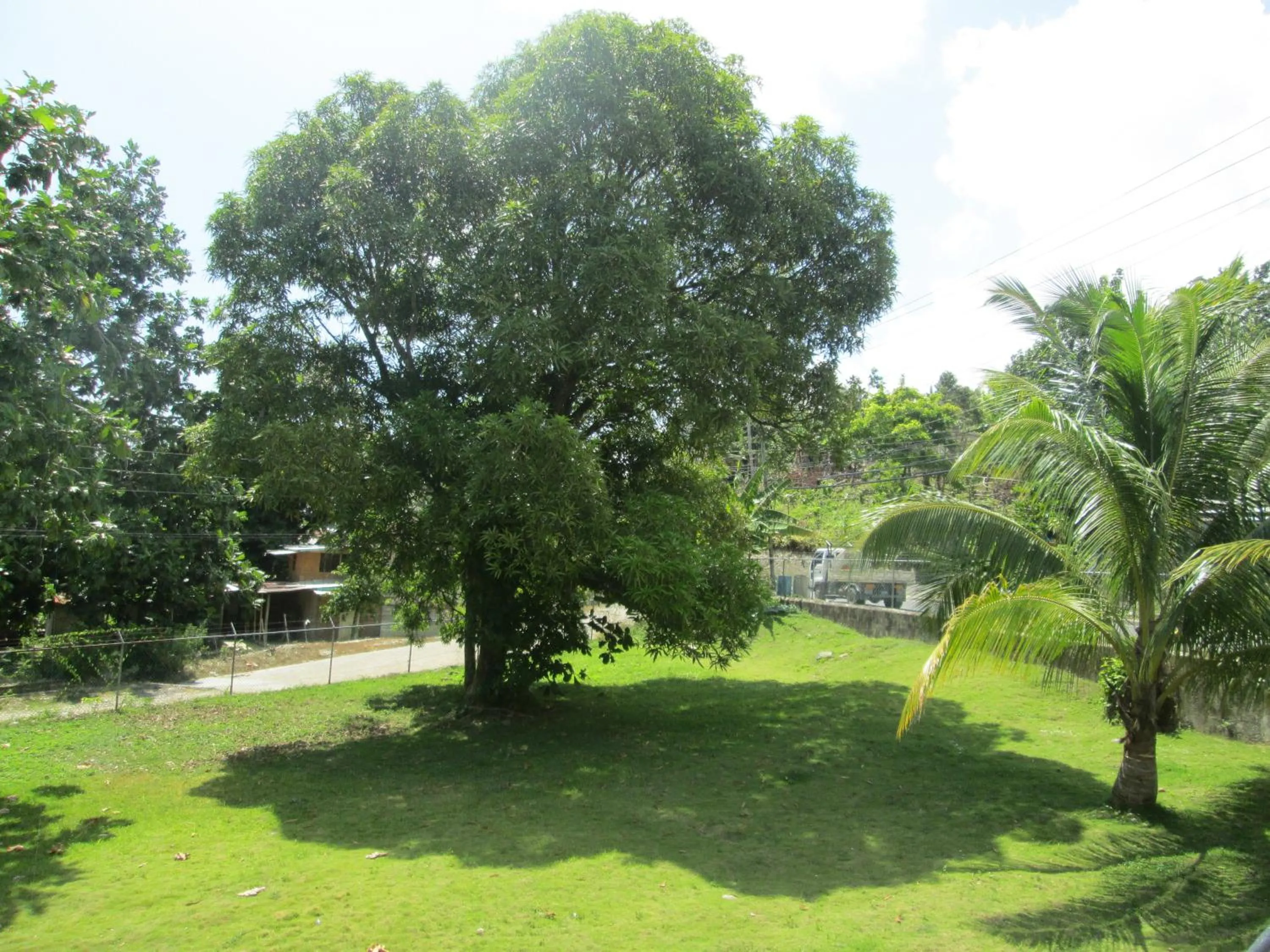 Natural landscape in Paradise Inn