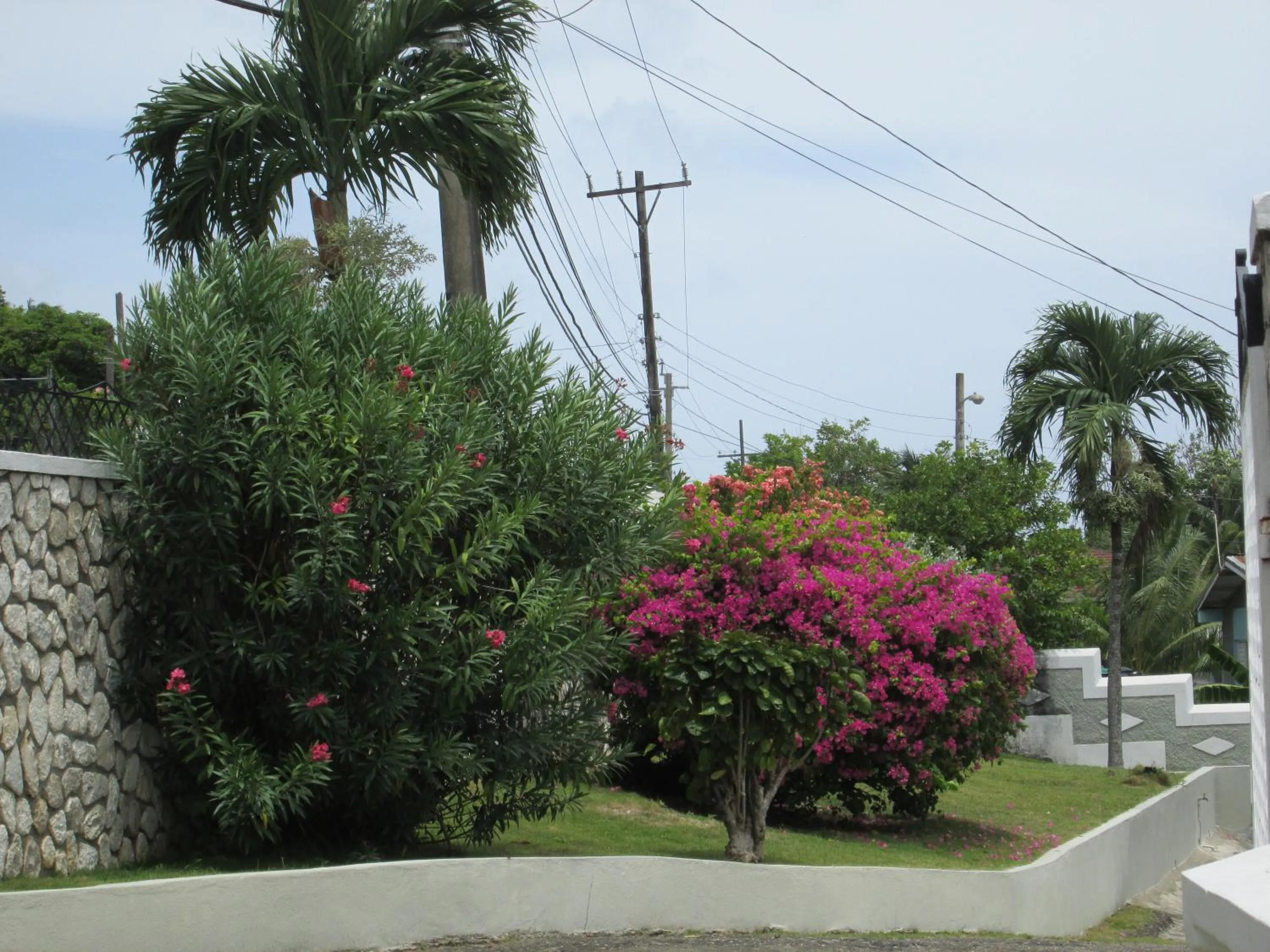 Garden in Paradise Inn