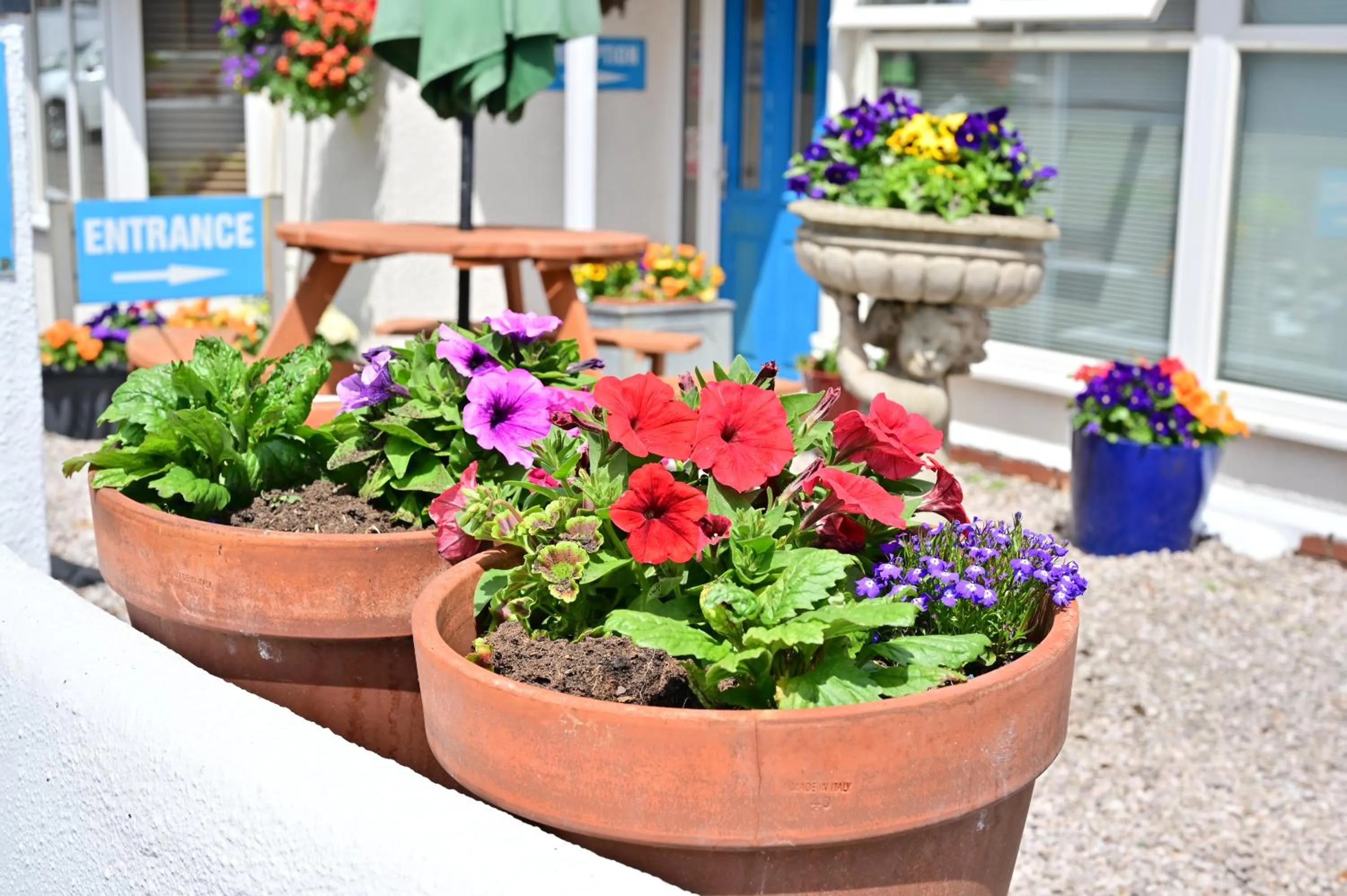 Garden view in Lyme Bay House