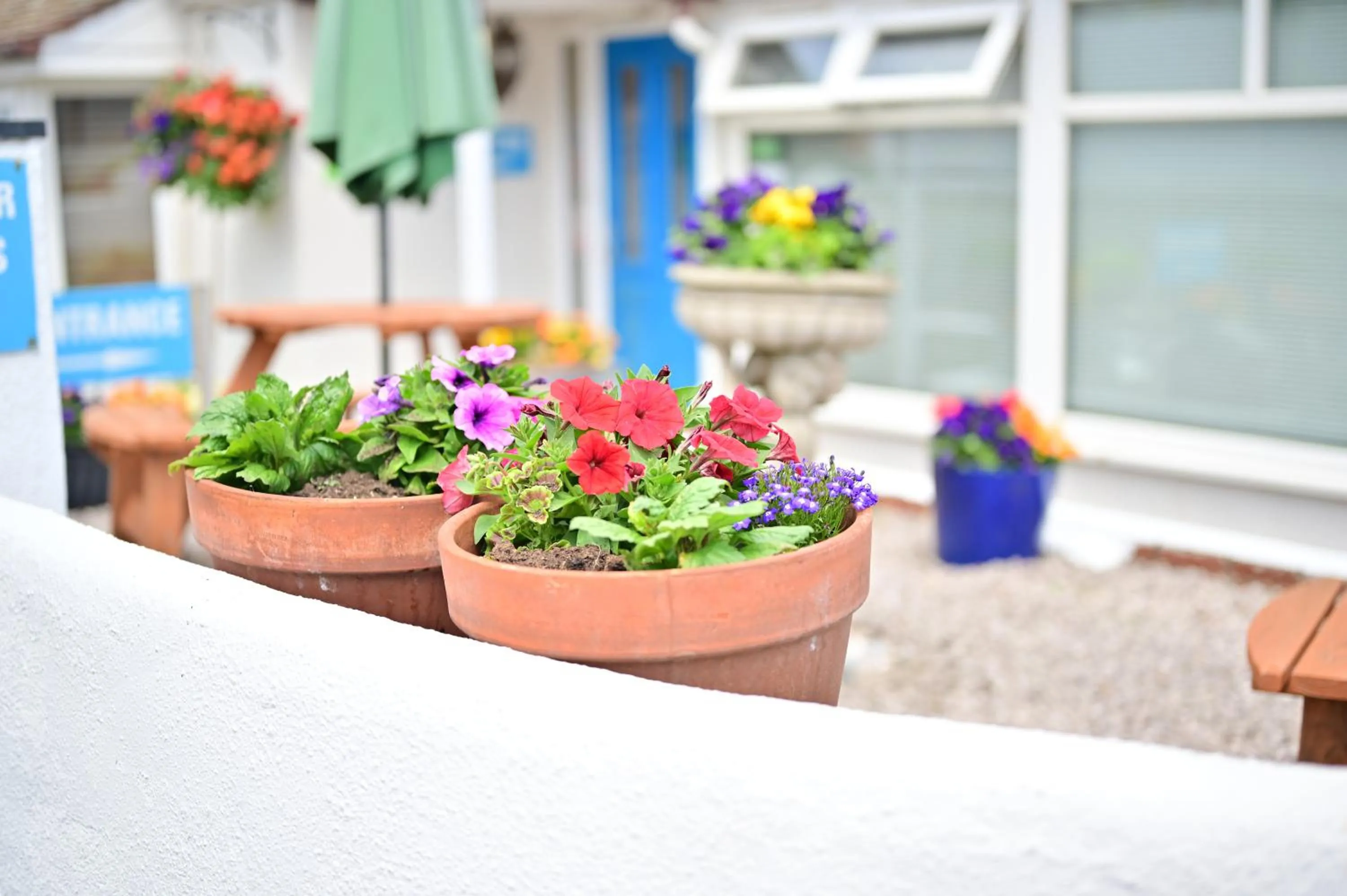 Facade/entrance in Lyme Bay House
