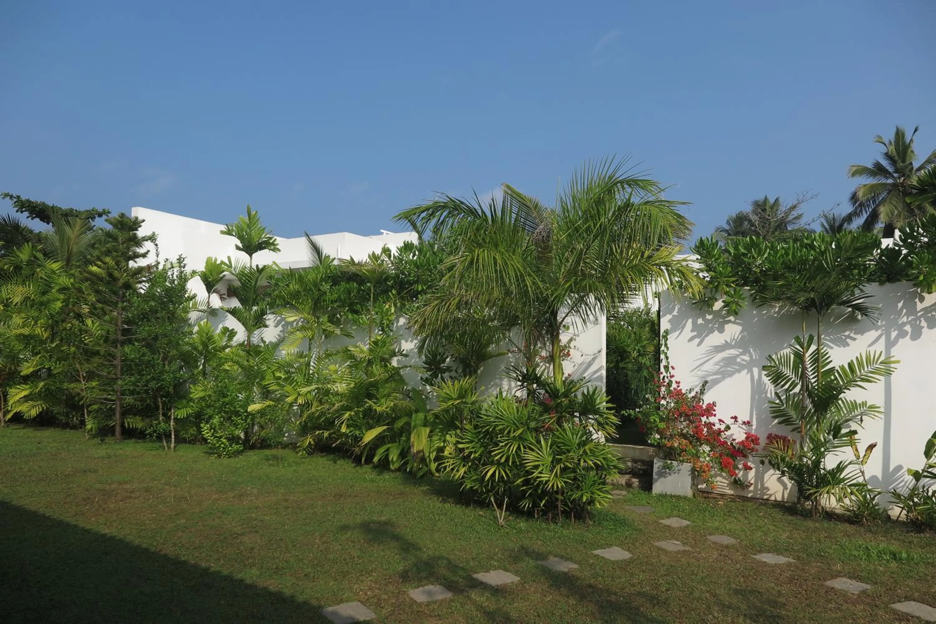 Natural landscape in Calamansi Cove Villas
