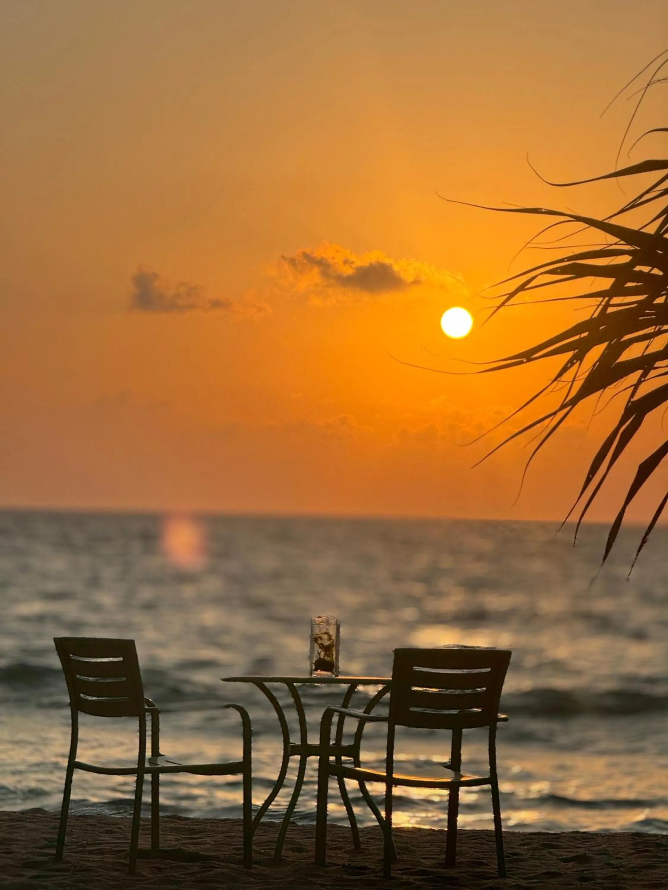 Dinner in Calamansi Cove Villas