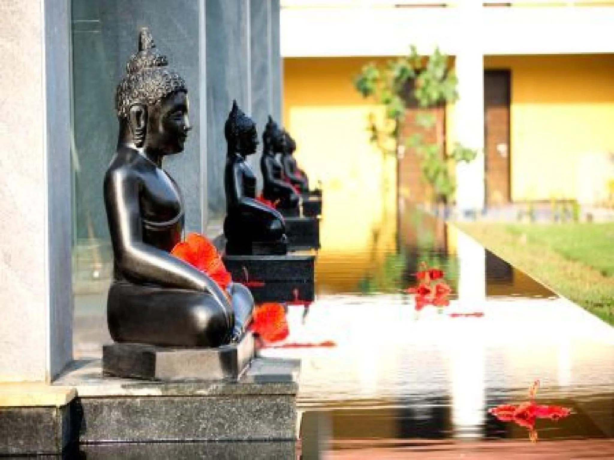 Decorative detail in Planet Hollywood Beach Resort Goa