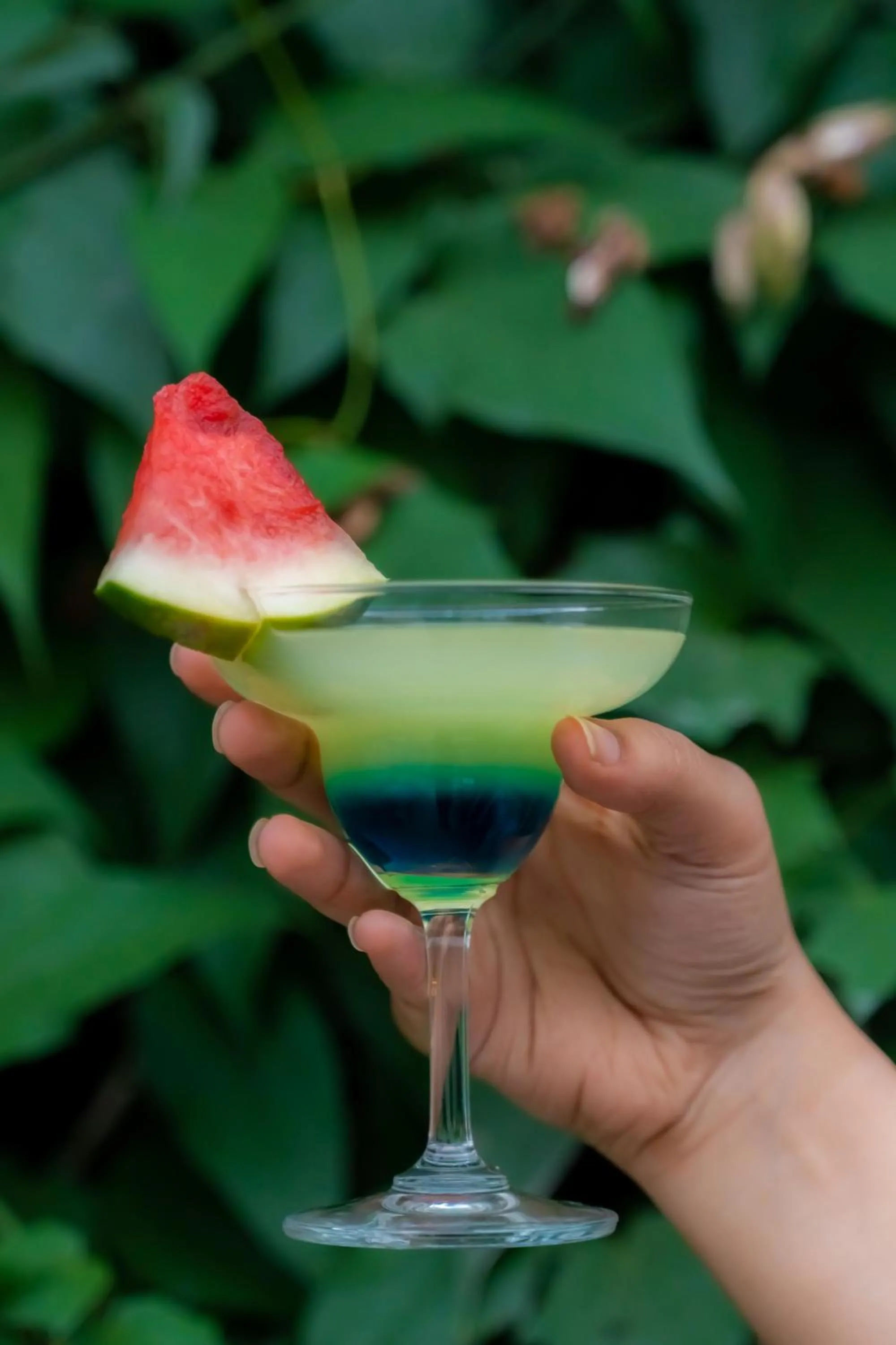 Food and drinks in Somy Plaza Calangute Goa - Formerly Somy Resort