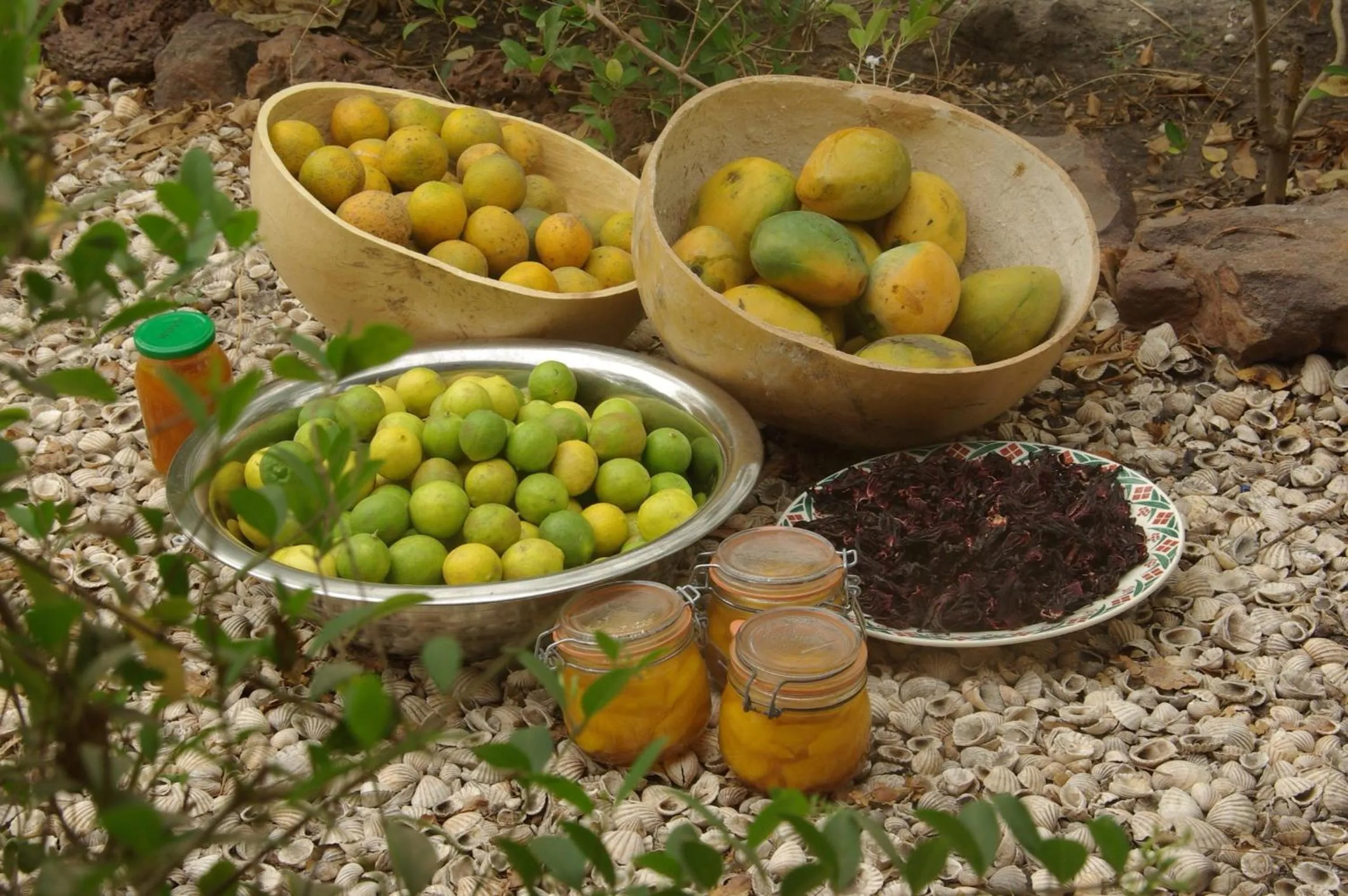 Food in Bed and breakfast Keur Niaye