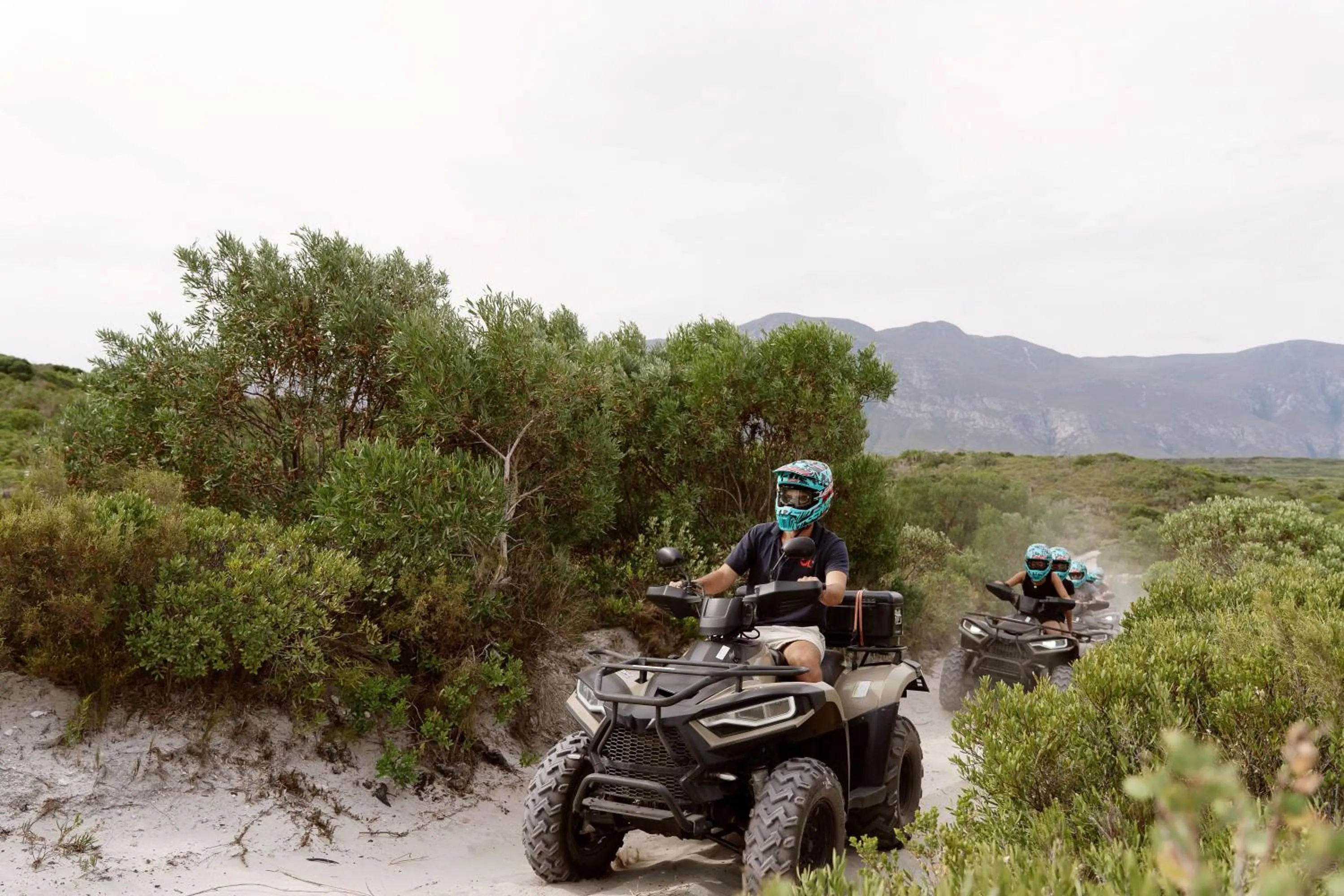 Activities in Coot Club