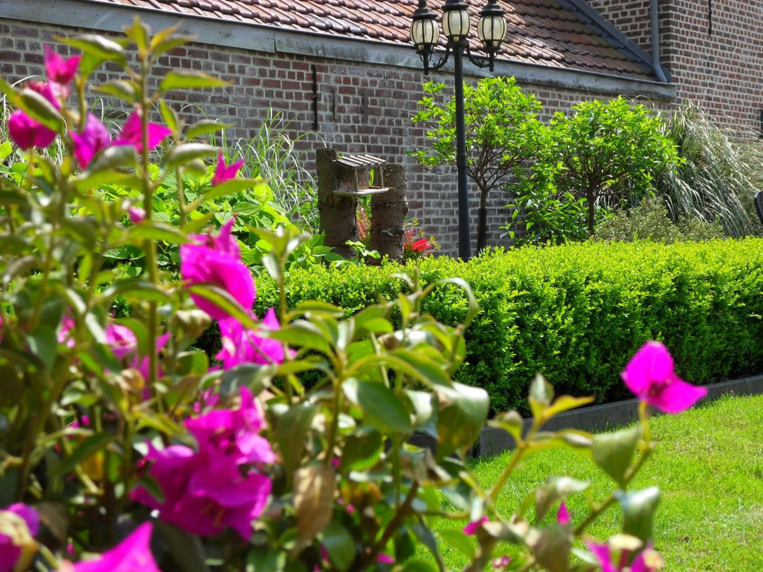 Garden view in B&B 'Het Logiement