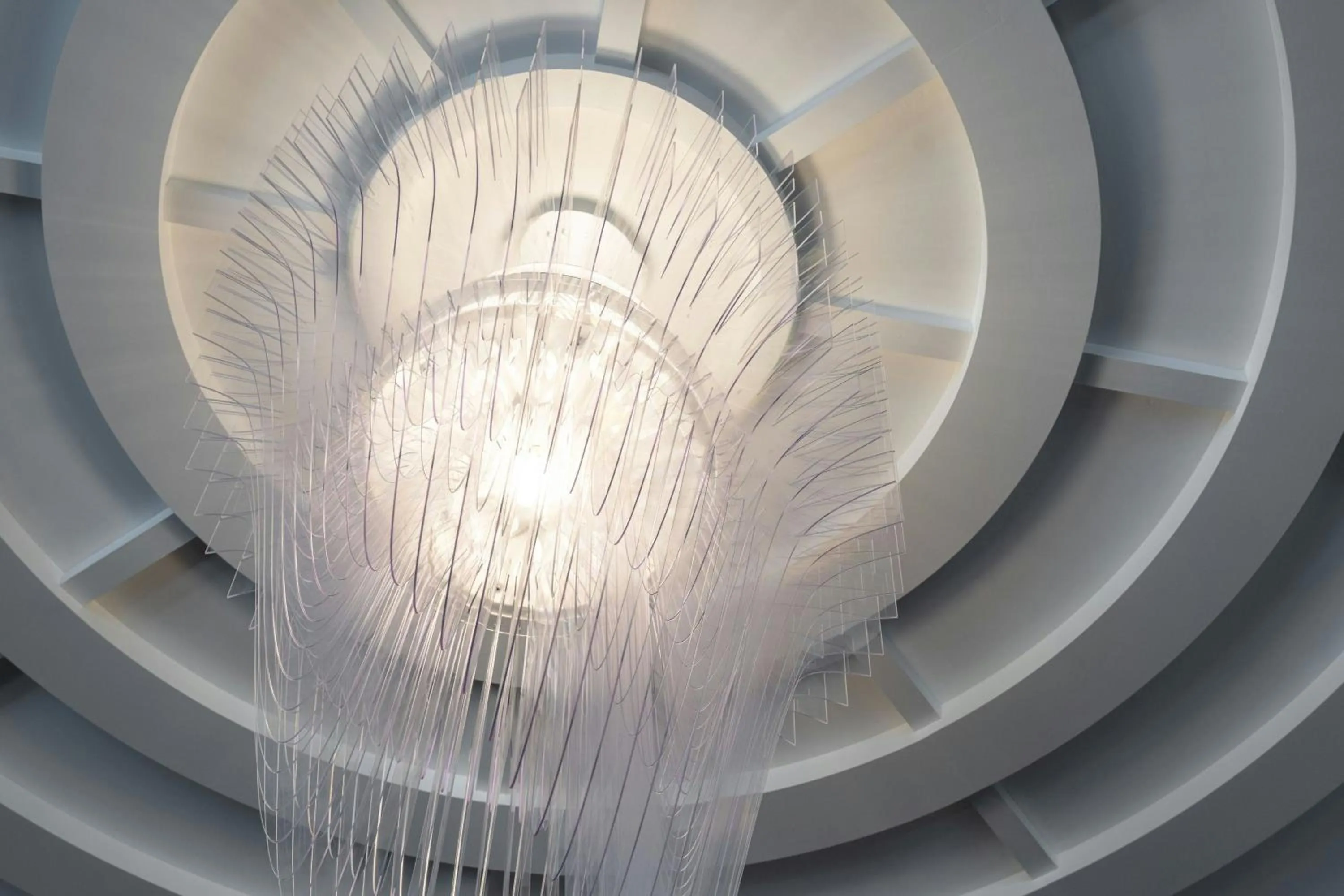 Other in The Vanguard Ann Arbor, Autograph Collection